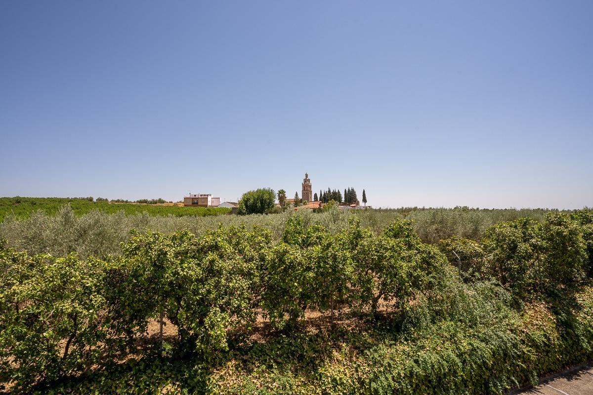 Pisos-Venta-Villanueva del RÃ­o y Minas-1876873-Foto-32