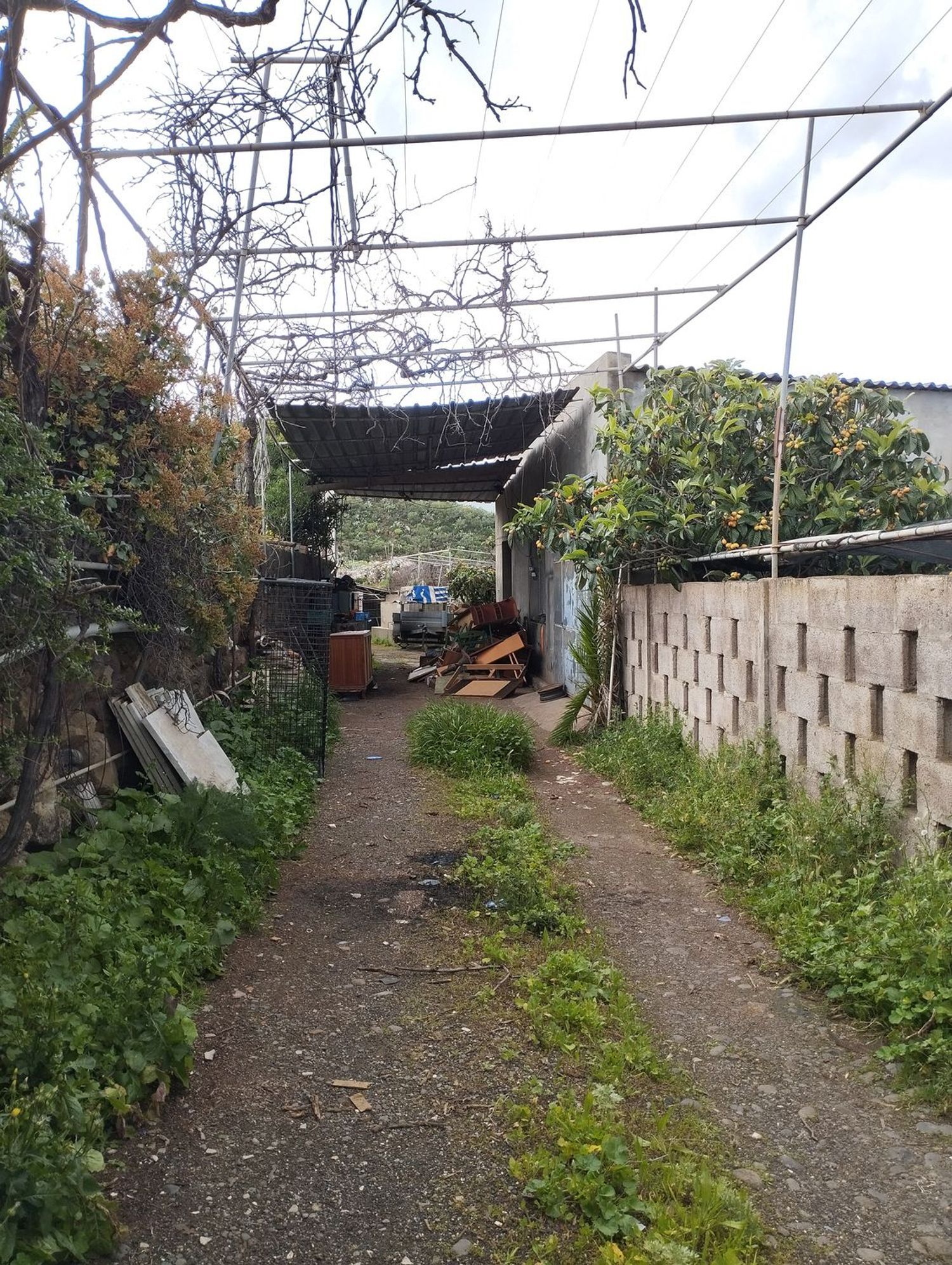Fincas y solares-Venta-Telde-2194016-Foto-27