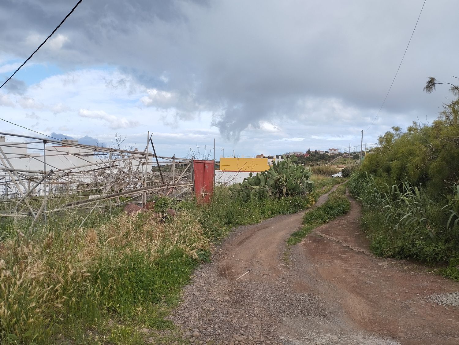 Fincas y solares-Venta-Telde-2194019-Foto-4