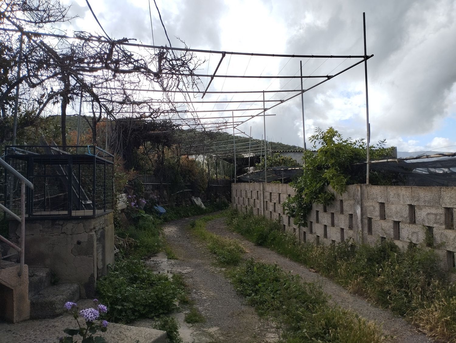 Fincas y solares-Venta-Telde-2194019-Foto-18