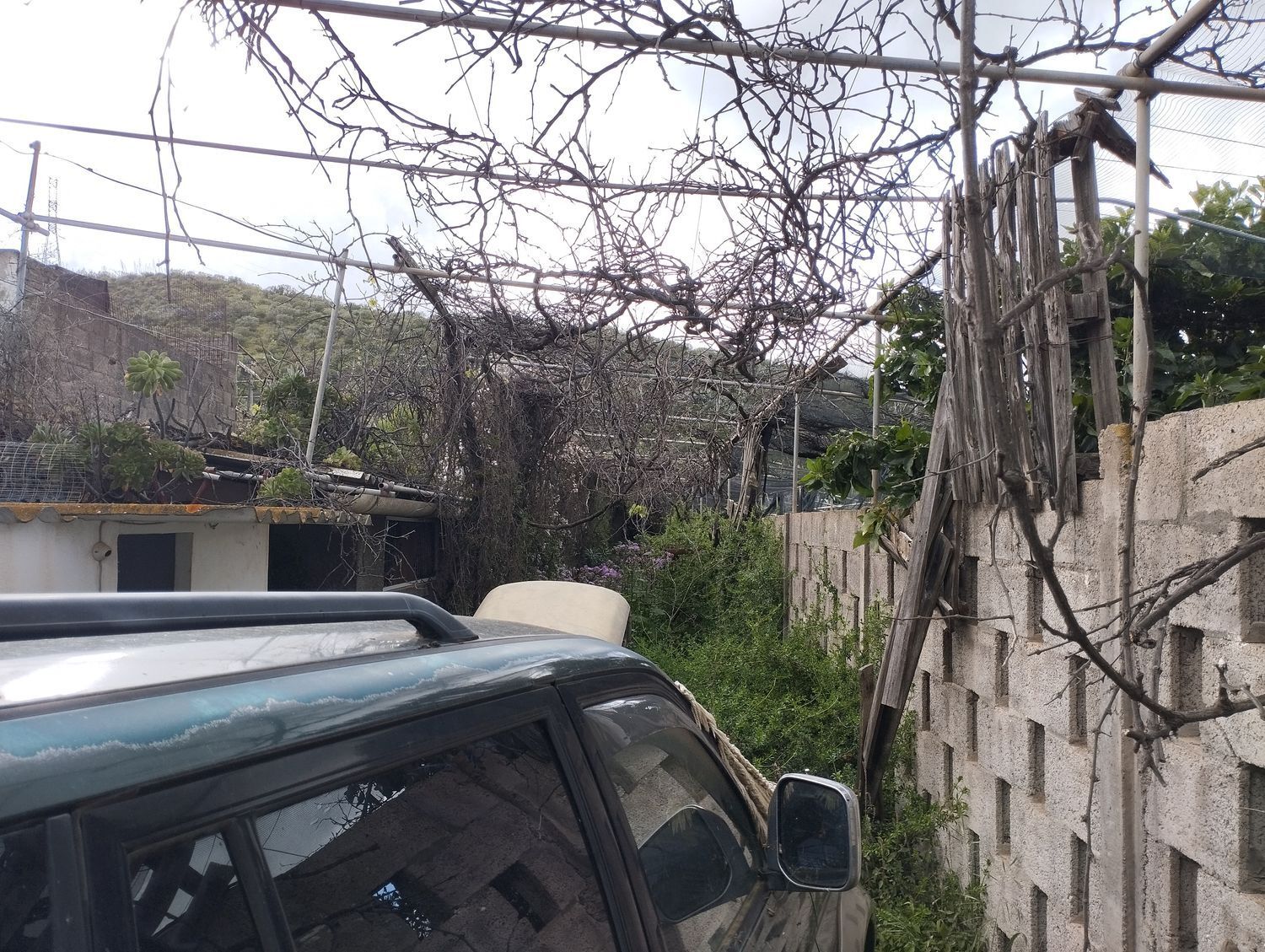 Fincas y solares-Venta-Telde-2194019-Foto-32