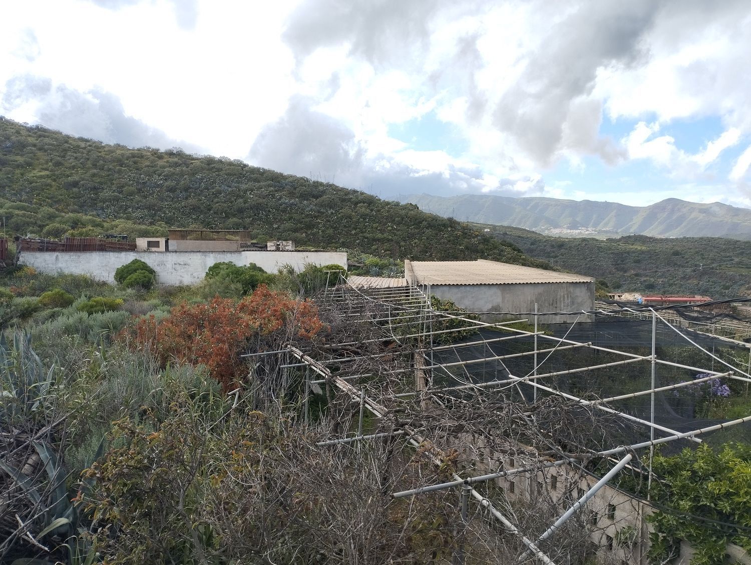 Fincas y solares-Venta-Telde-2194019-Foto-34