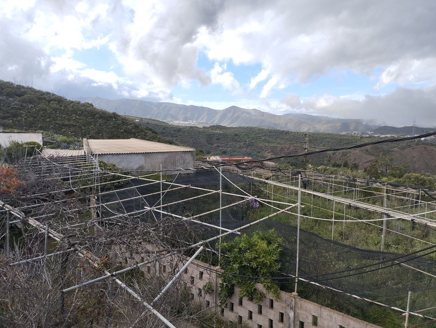 Fincas y solares-Venta-Telde-2194022-Foto-9