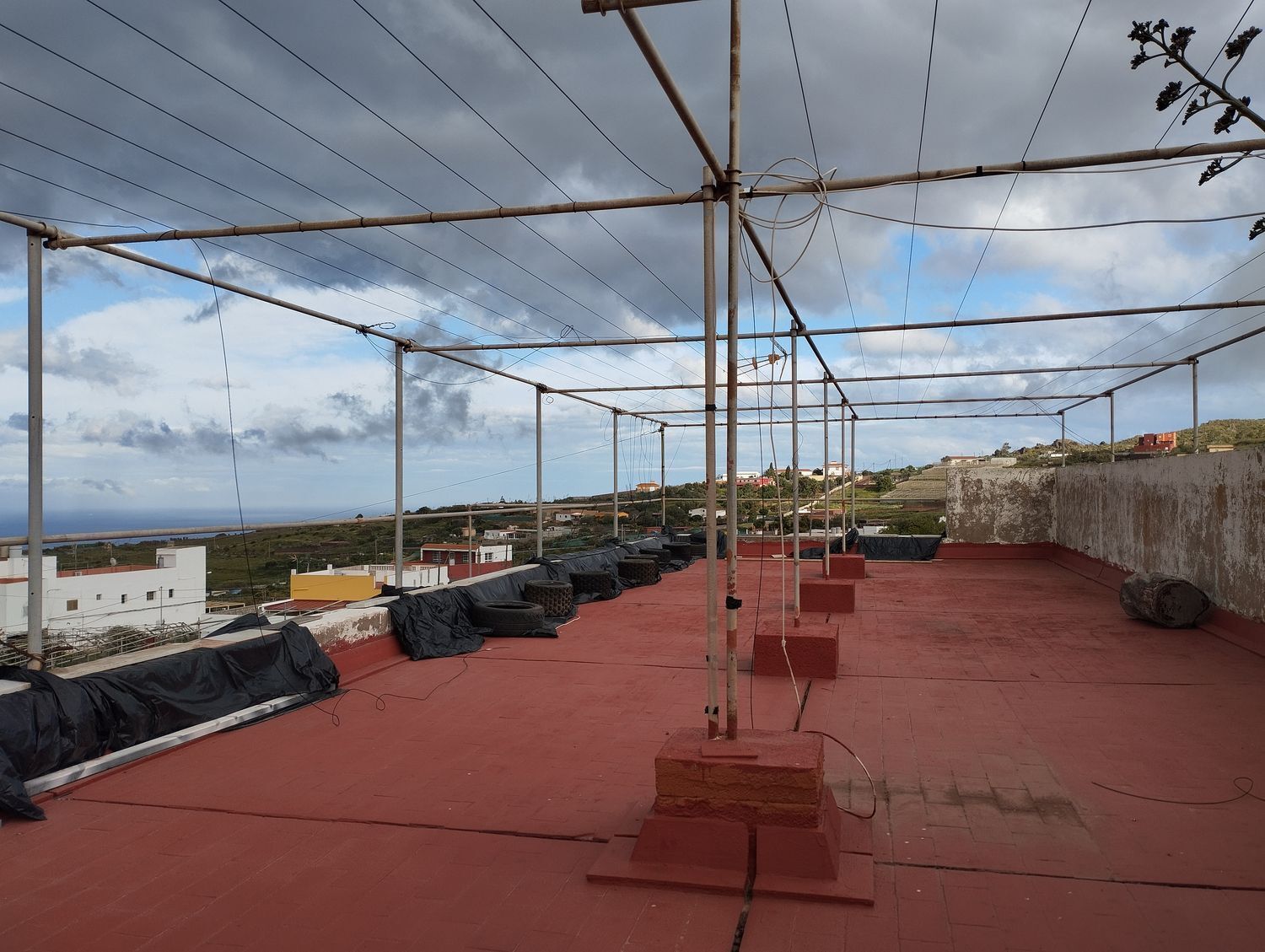 Fincas y solares-Venta-Telde-2194022-Foto-17