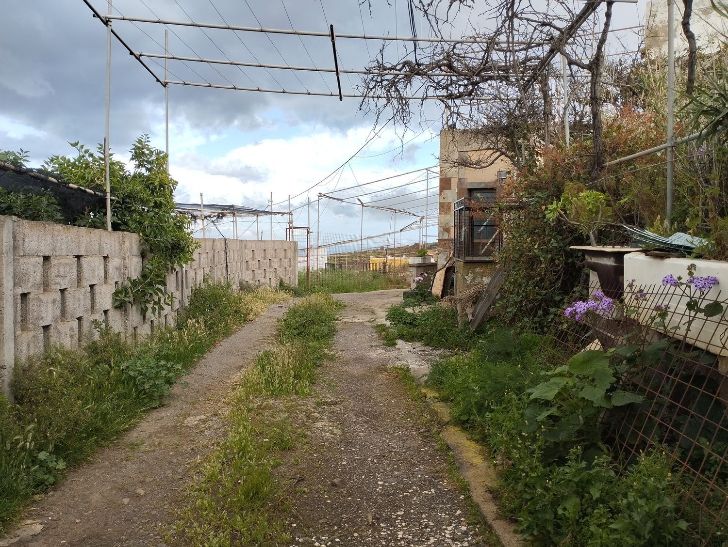 Fincas y solares-Venta-Telde-2194022-Foto-26