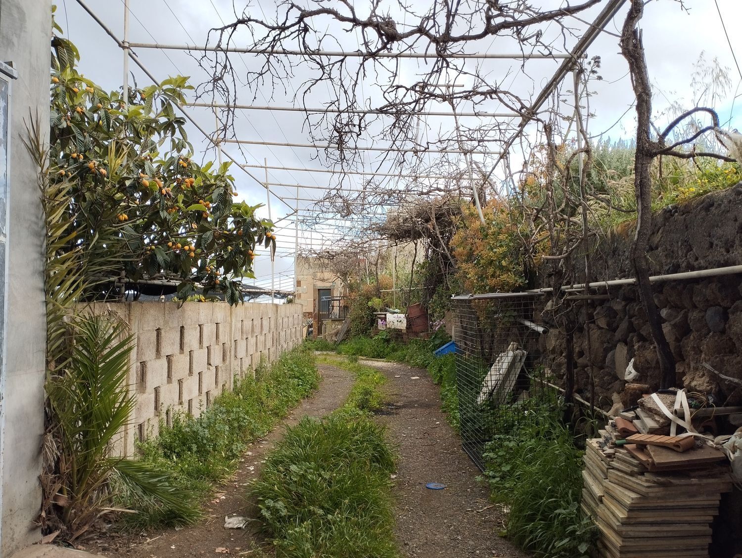Fincas y solares-Venta-Telde-2194022-Foto-27