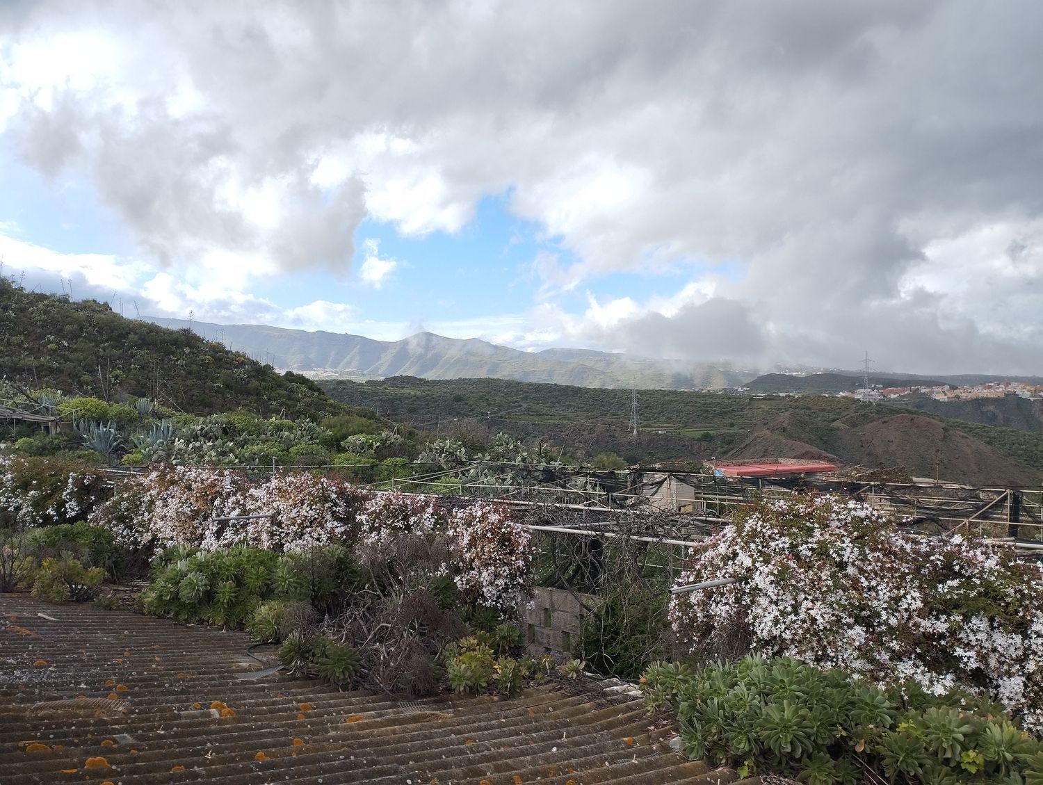 Fincas y solares-Venta-Telde-2194022-Foto-29