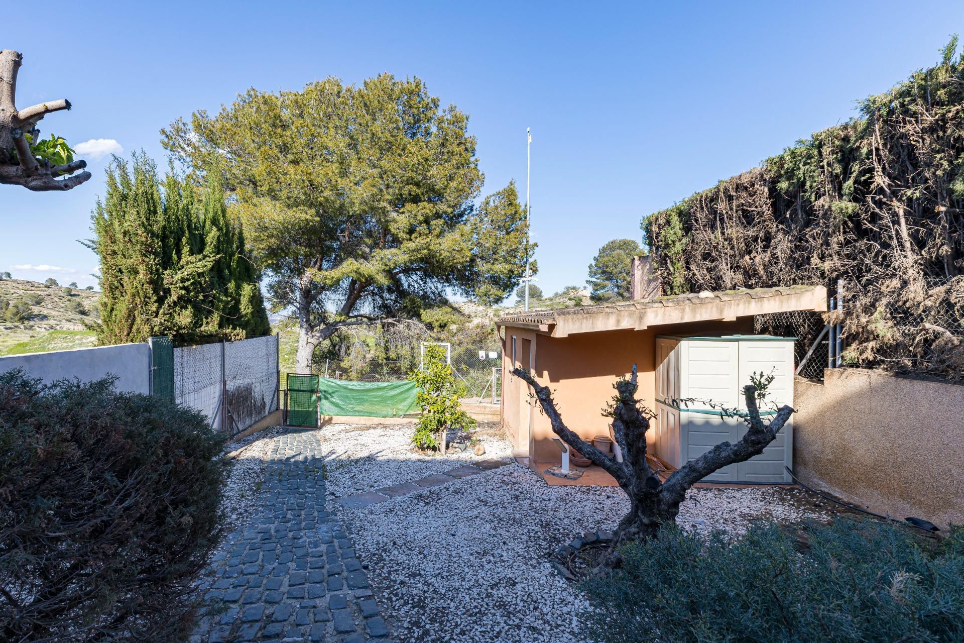 Casas o chalets-Venta-Murcia-2178201-Foto-11