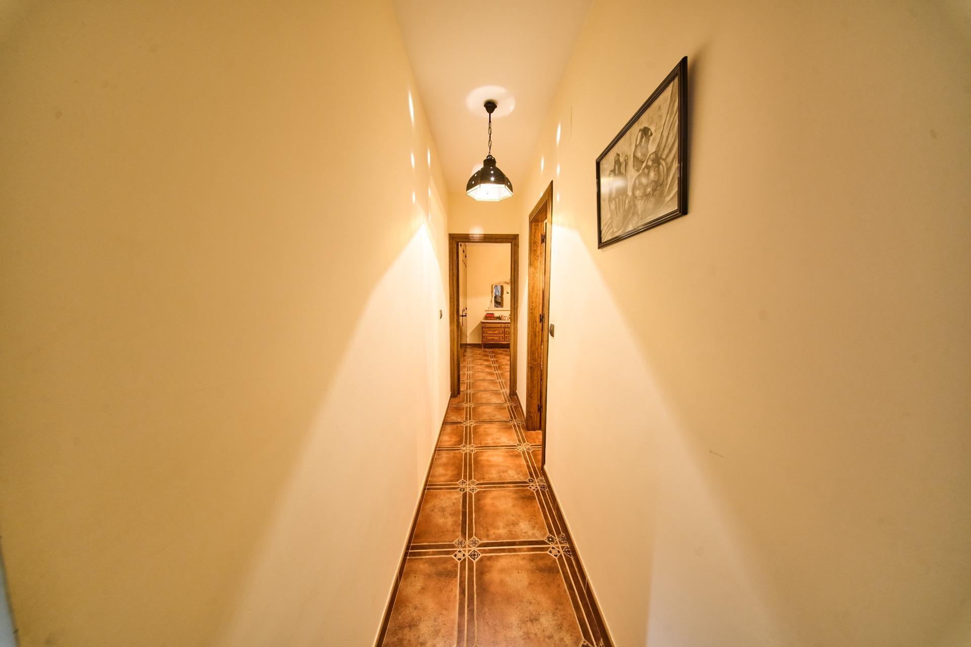 Casas o chalets-Venta-Illora-2200077-Foto-45