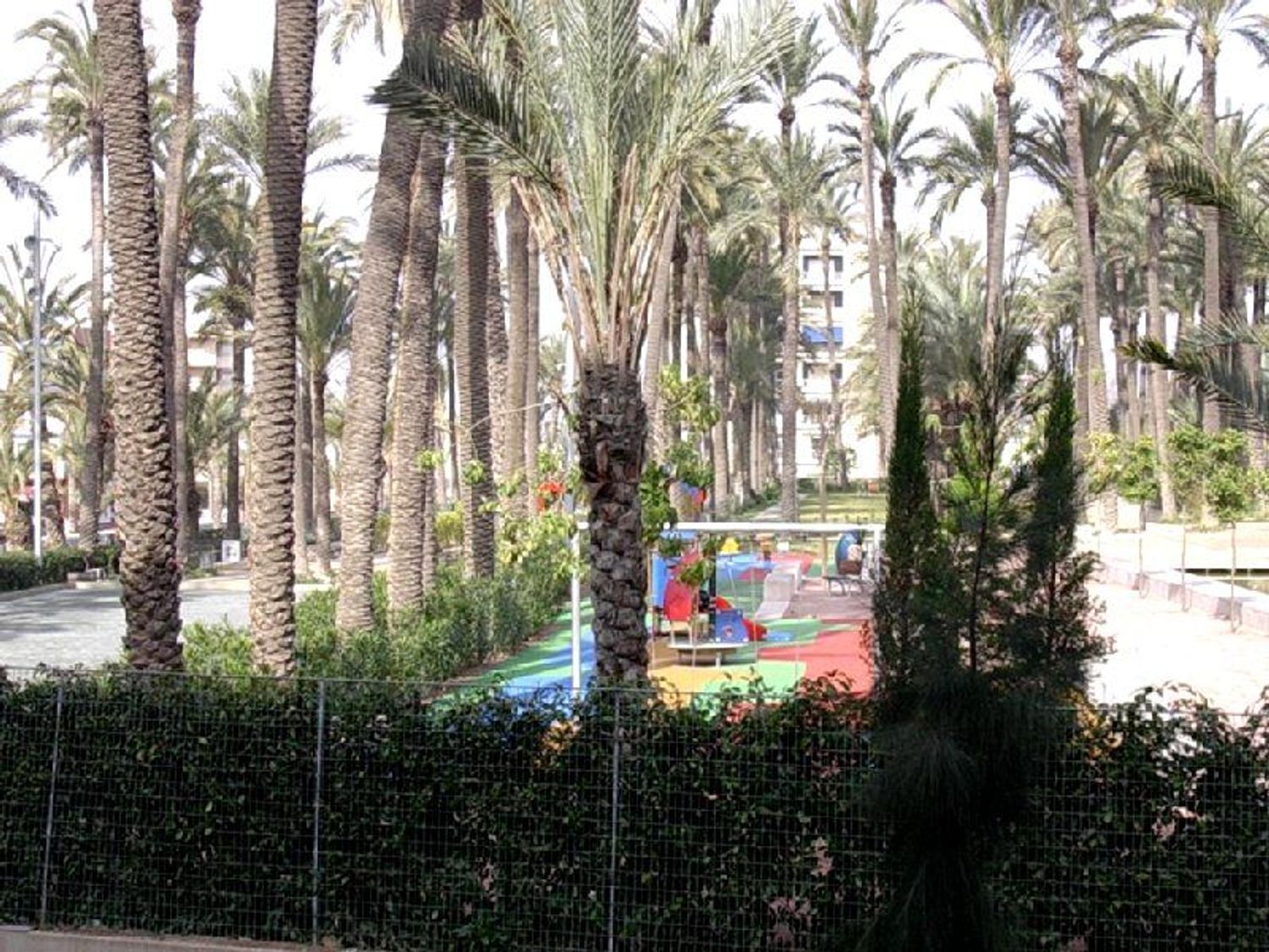 Negocios-Venta-Santa Pola-2412380-Foto-33