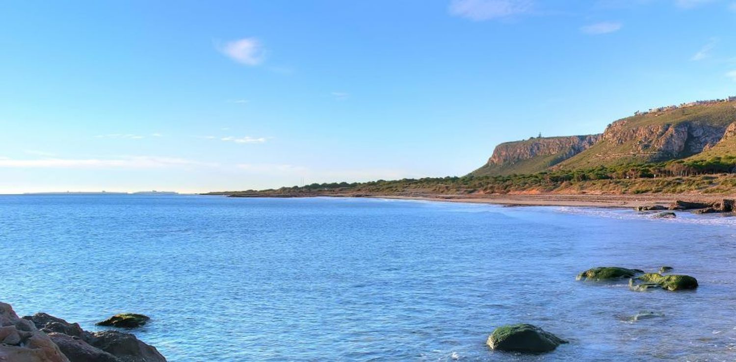 Negocios-Venta-Santa Pola-2412380-Foto-35