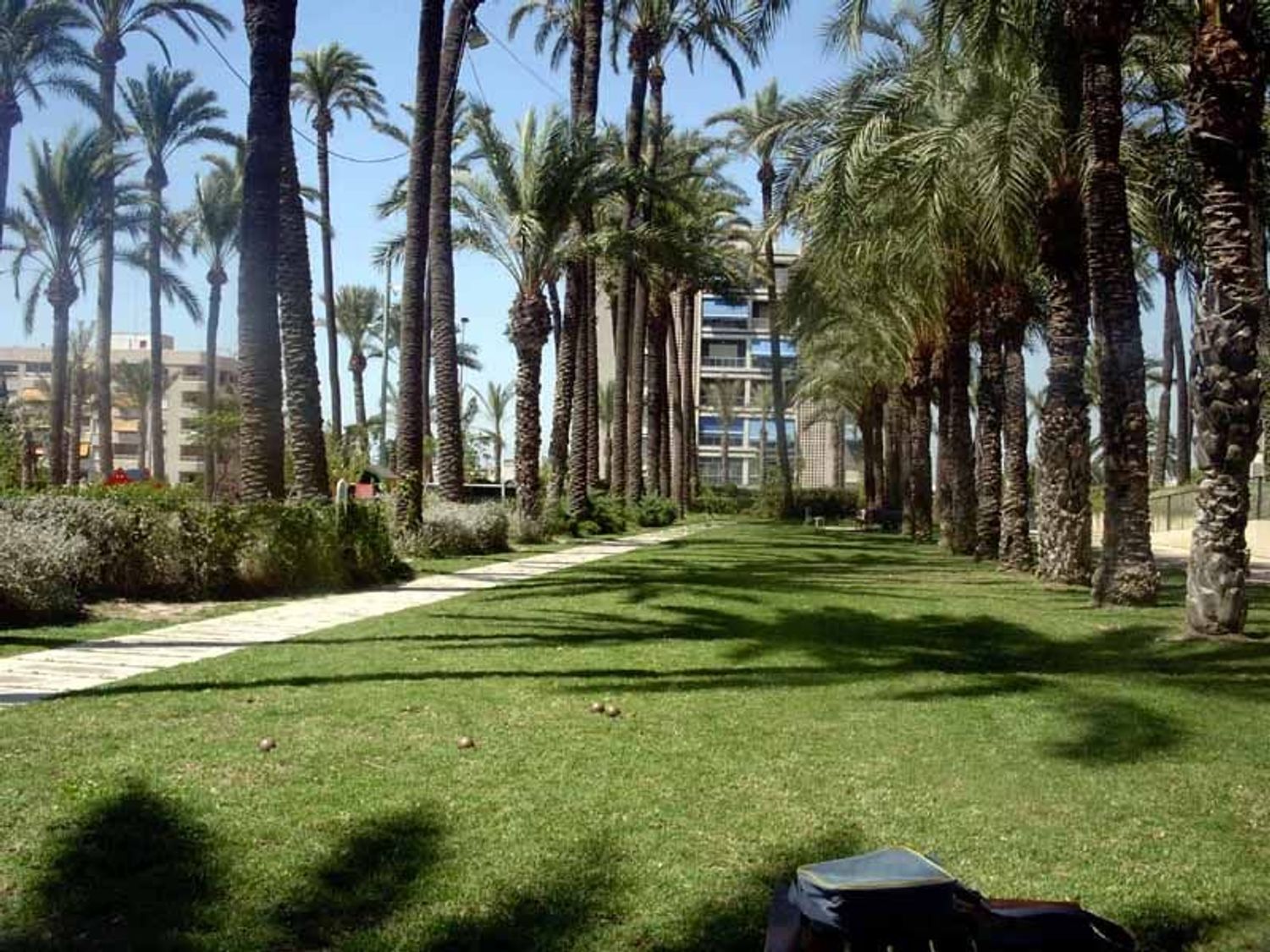 Negocios-Venta-Santa Pola-2412380-Foto-39