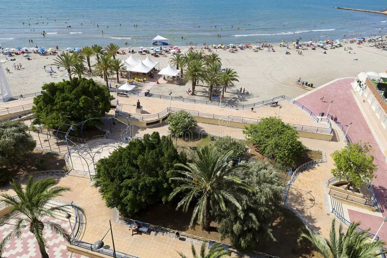 Negocios-Venta-Santa Pola-2412380-Foto-42