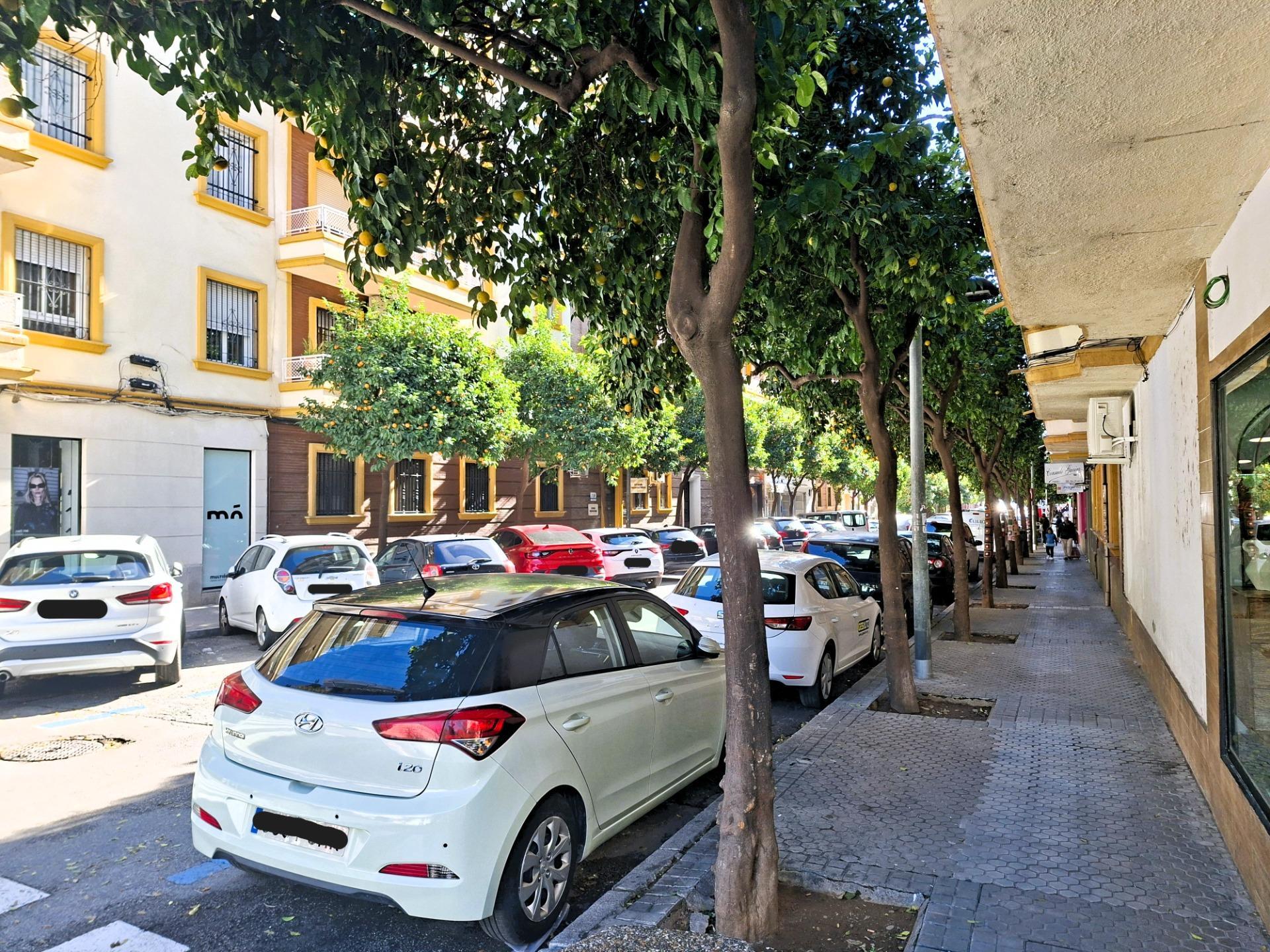 Pisos-Venta-Burguillos-2033141-Foto-6