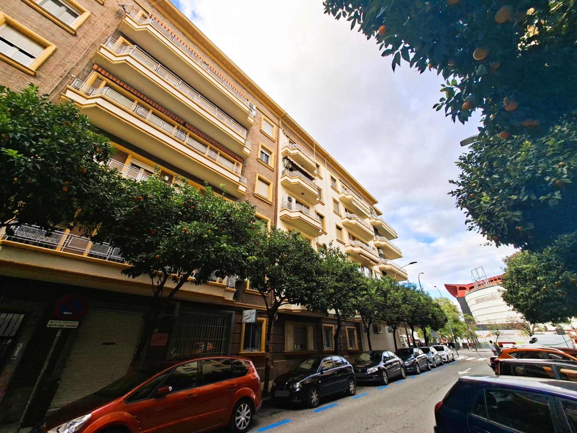 Pisos-Venta-Burguillos-2033141-Foto-8