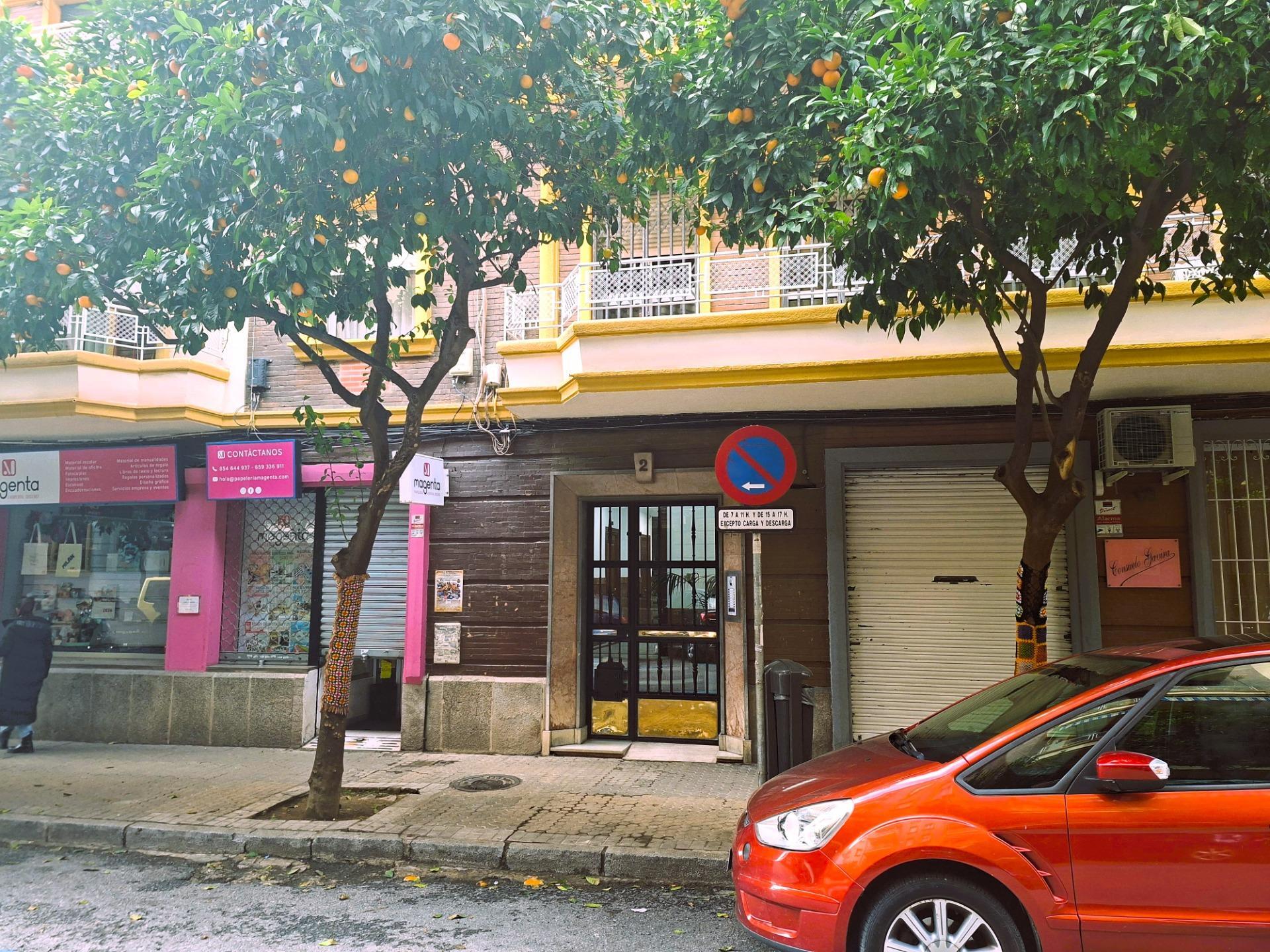 Pisos-Venta-Burguillos-2033141-Foto-10