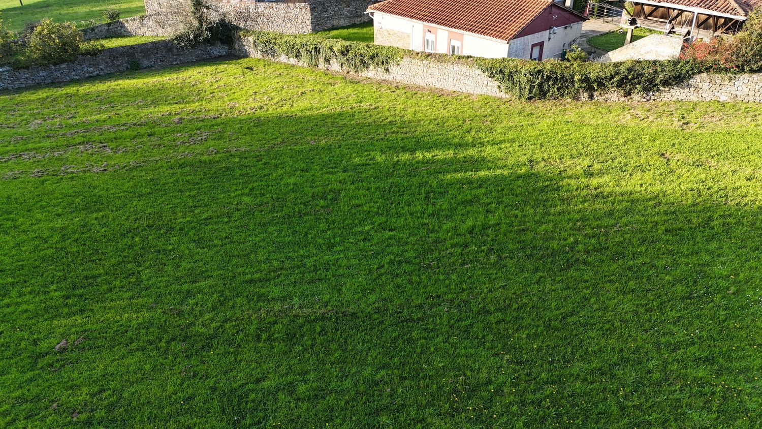 Fincas y solares-Venta-CarreÃ±o-2201317-Foto-9