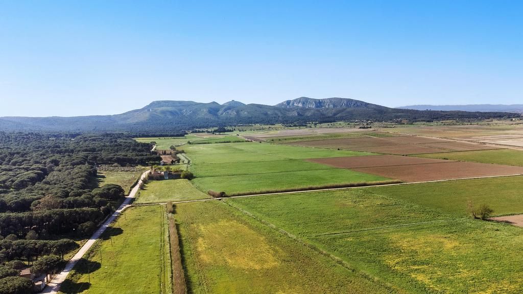 Casas o chalets-Venta-Bellcaire d