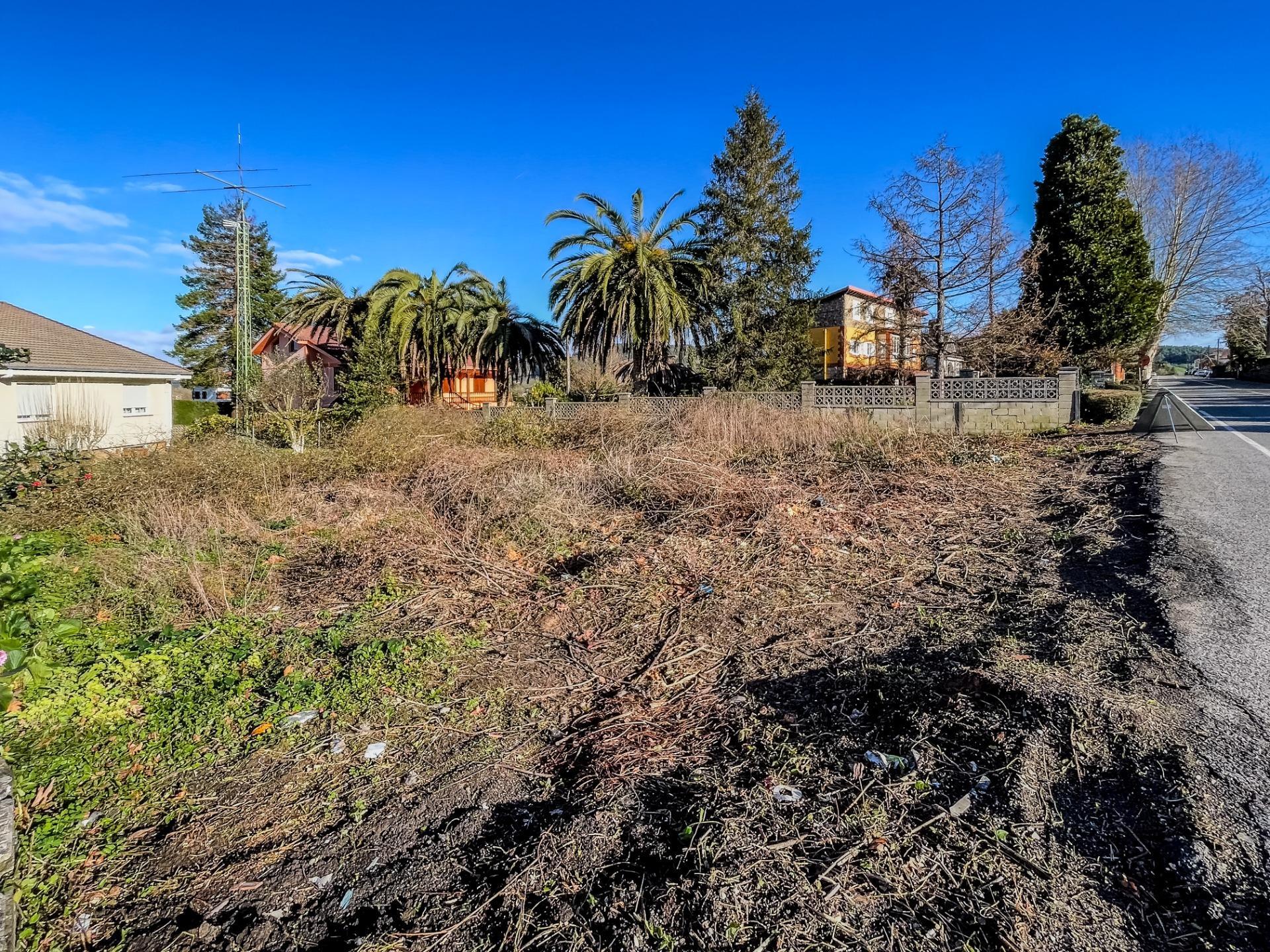 Fincas y solares-Venta-PiÃ©lagos-2412212-Foto-2
