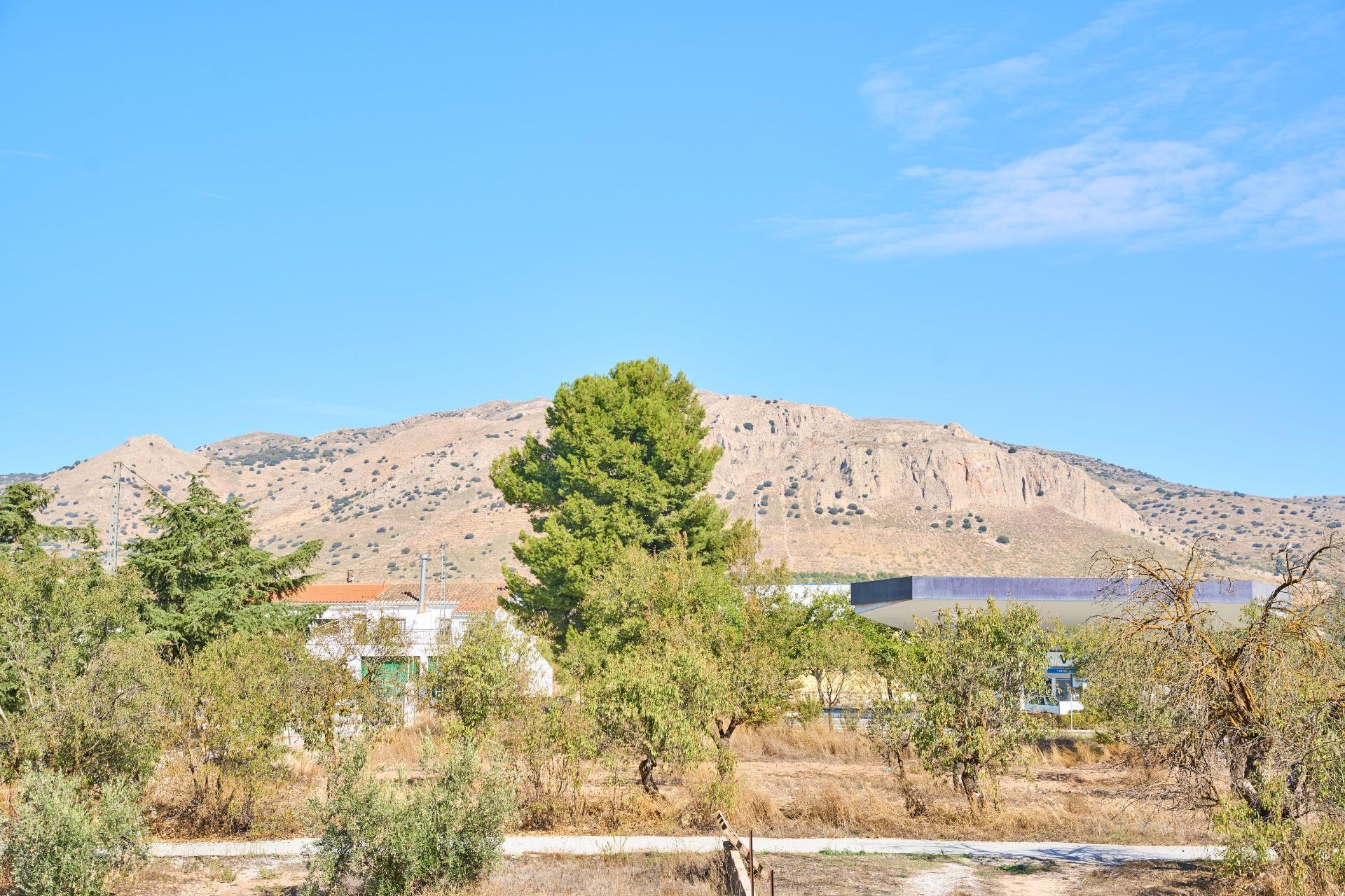 Casa en venta en calle Camino Cortijo De Tarifa, 16, 16, Cullar 48/54