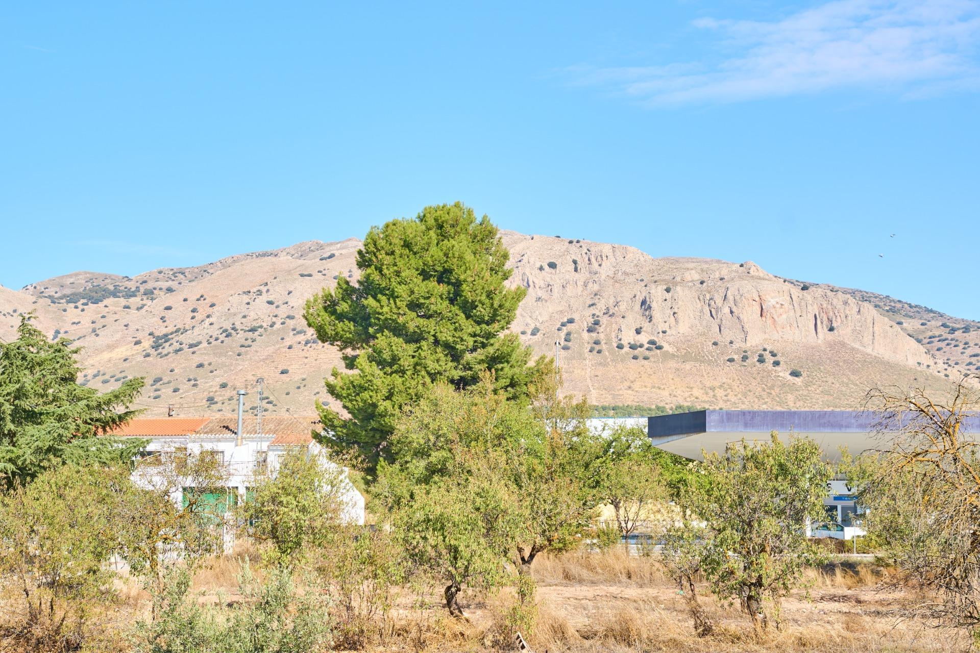 Casa en venta en calle Camino Cortijo De Tarifa, 16, 16, Cullar 49/54