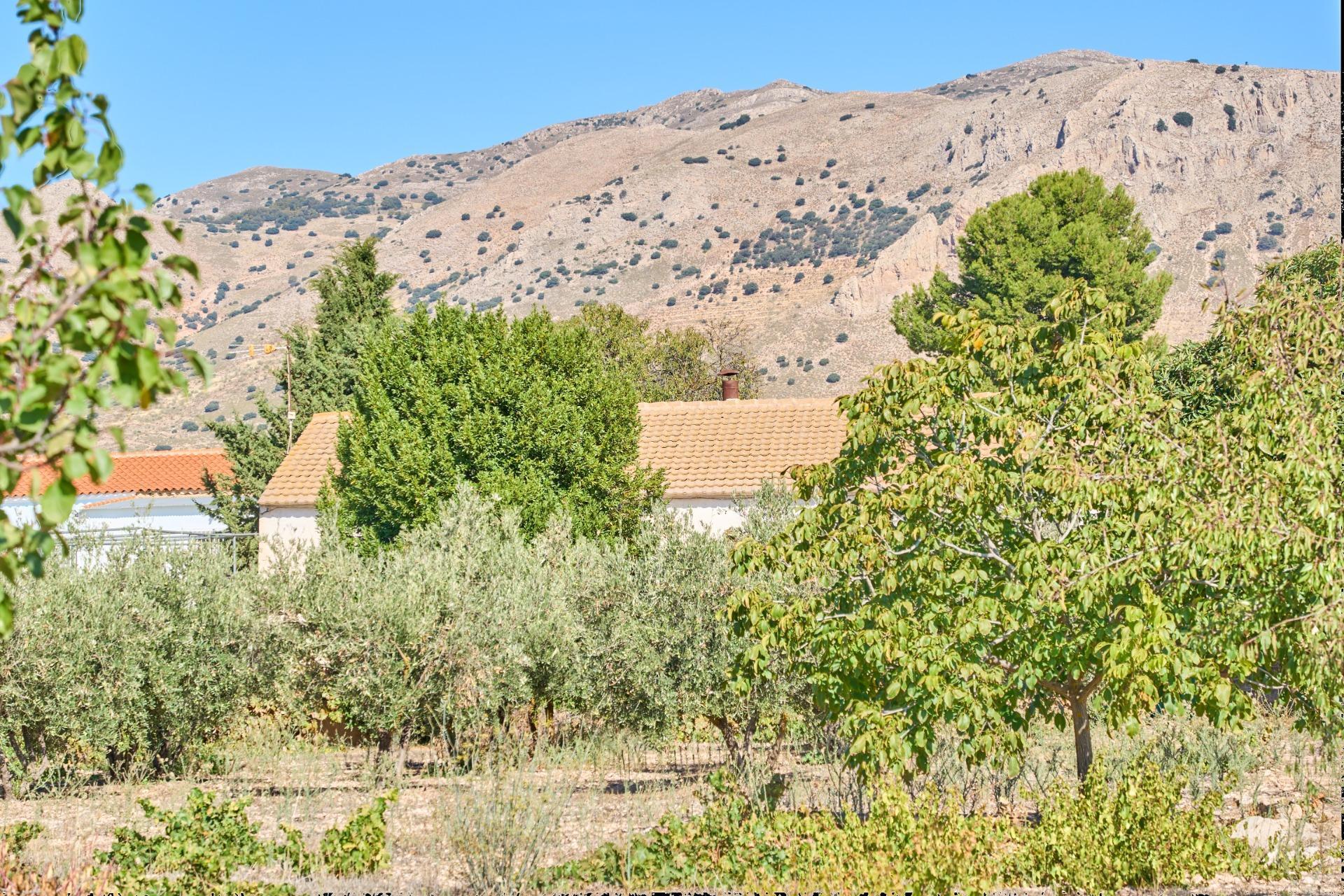 Casa en venta en calle Camino Cortijo De Tarifa, 16, 16, Cullar 53/54