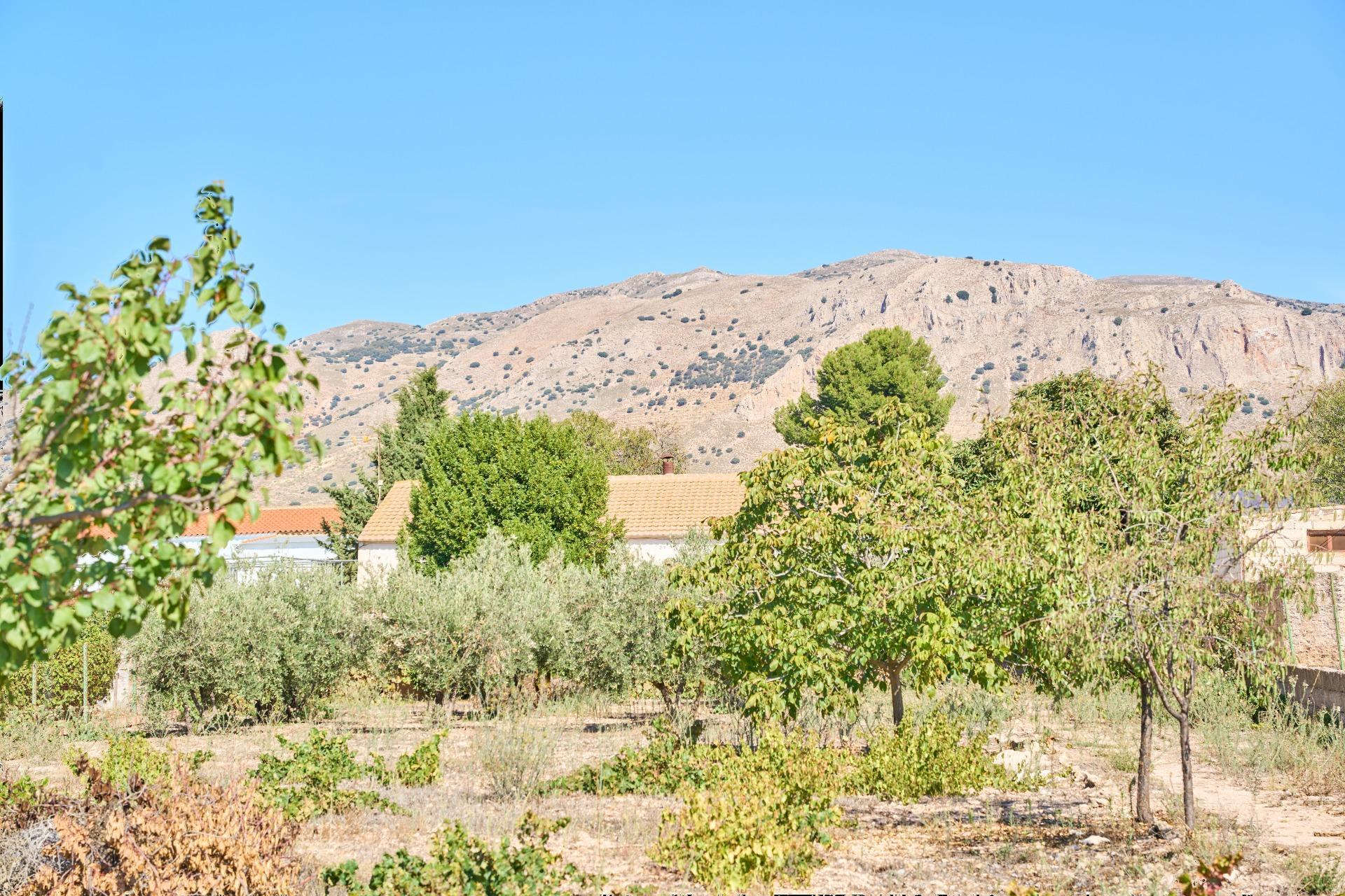 Casa en venta en calle Camino Cortijo De Tarifa, 16, 16, Cullar 54/54