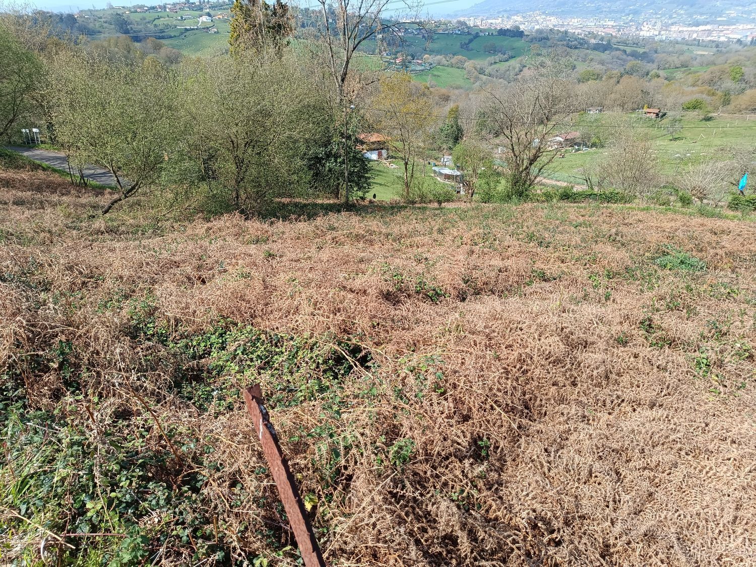 Fincas y solares-Venta-Oviedo-2202536-Foto-10