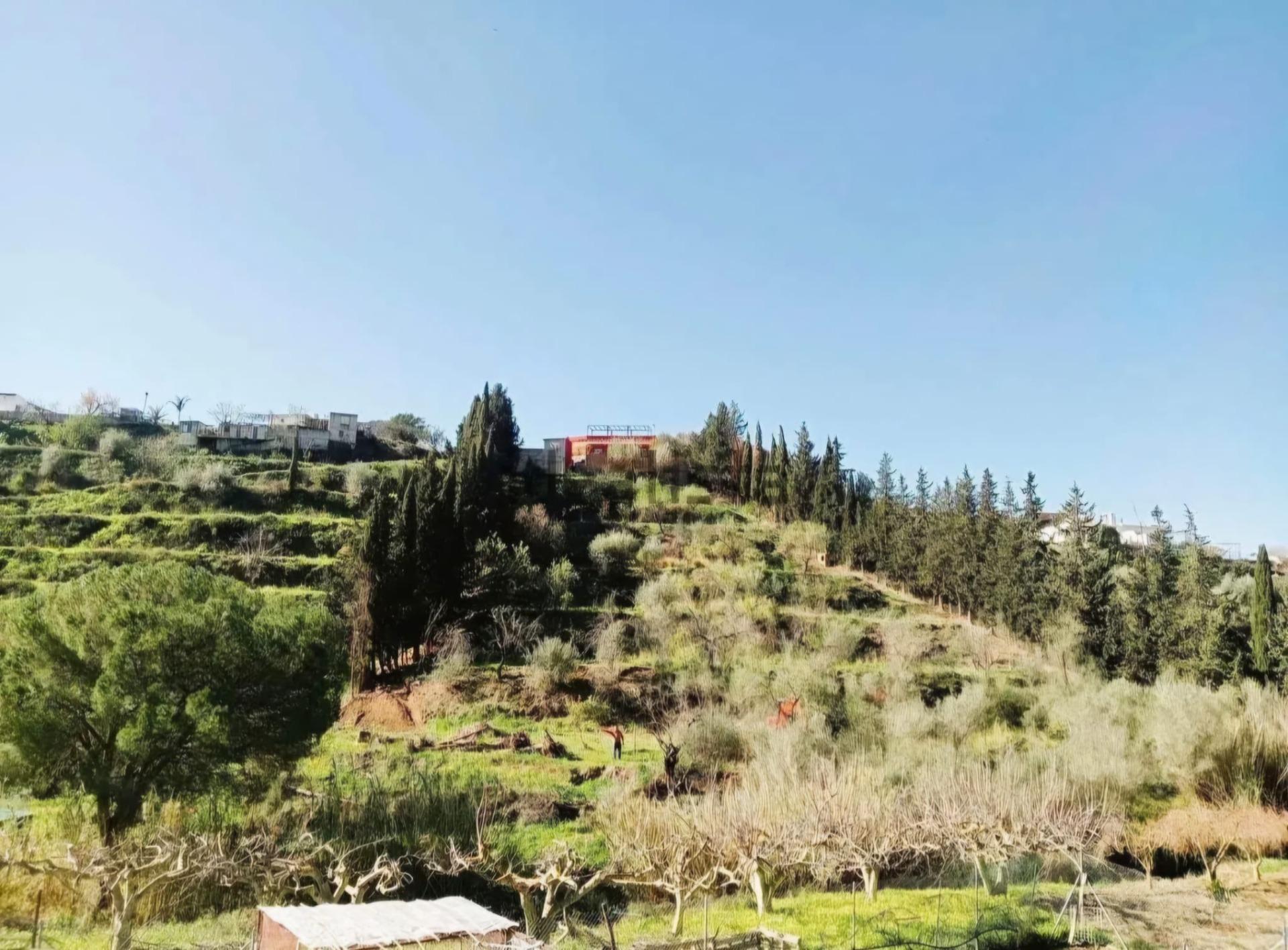 Pisos-Venta-Mijas-2194013-Foto-19