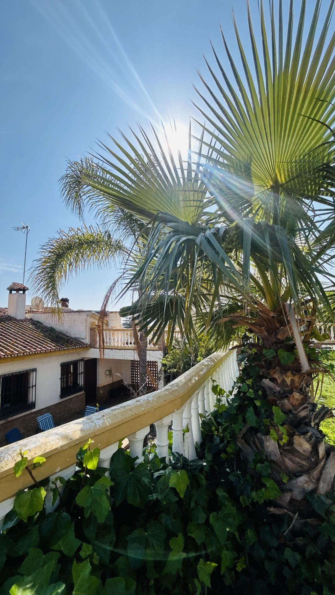 Casas o chalets-Venta-VÃ©lez-MÃ¡laga-2143018-Foto-13