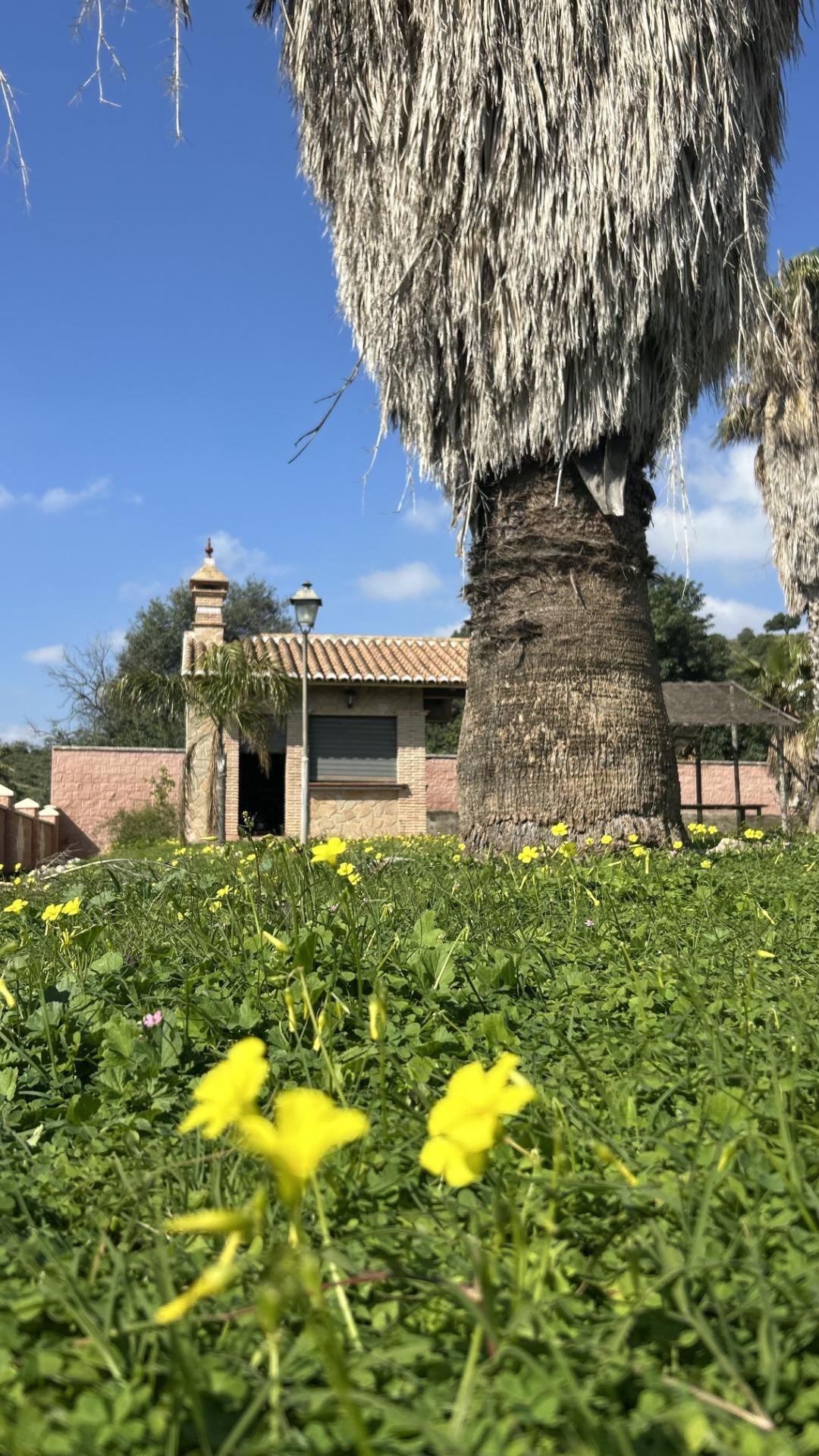 Casas o chalets-Venta-VÃ©lez-MÃ¡laga-2143018-Foto-25
