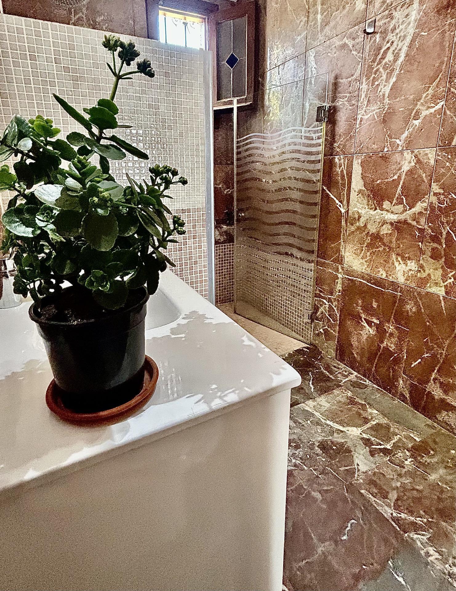 Casas o chalets-Venta-VÃ©lez-MÃ¡laga-2143018-Foto-36
