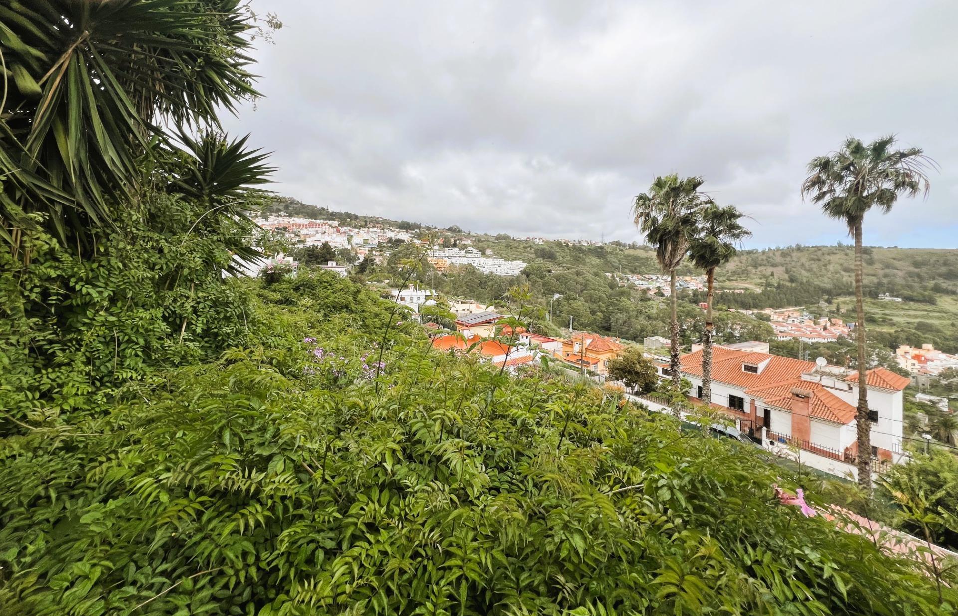 Fincas y solares-Venta-Arucas-2208823-Foto-3