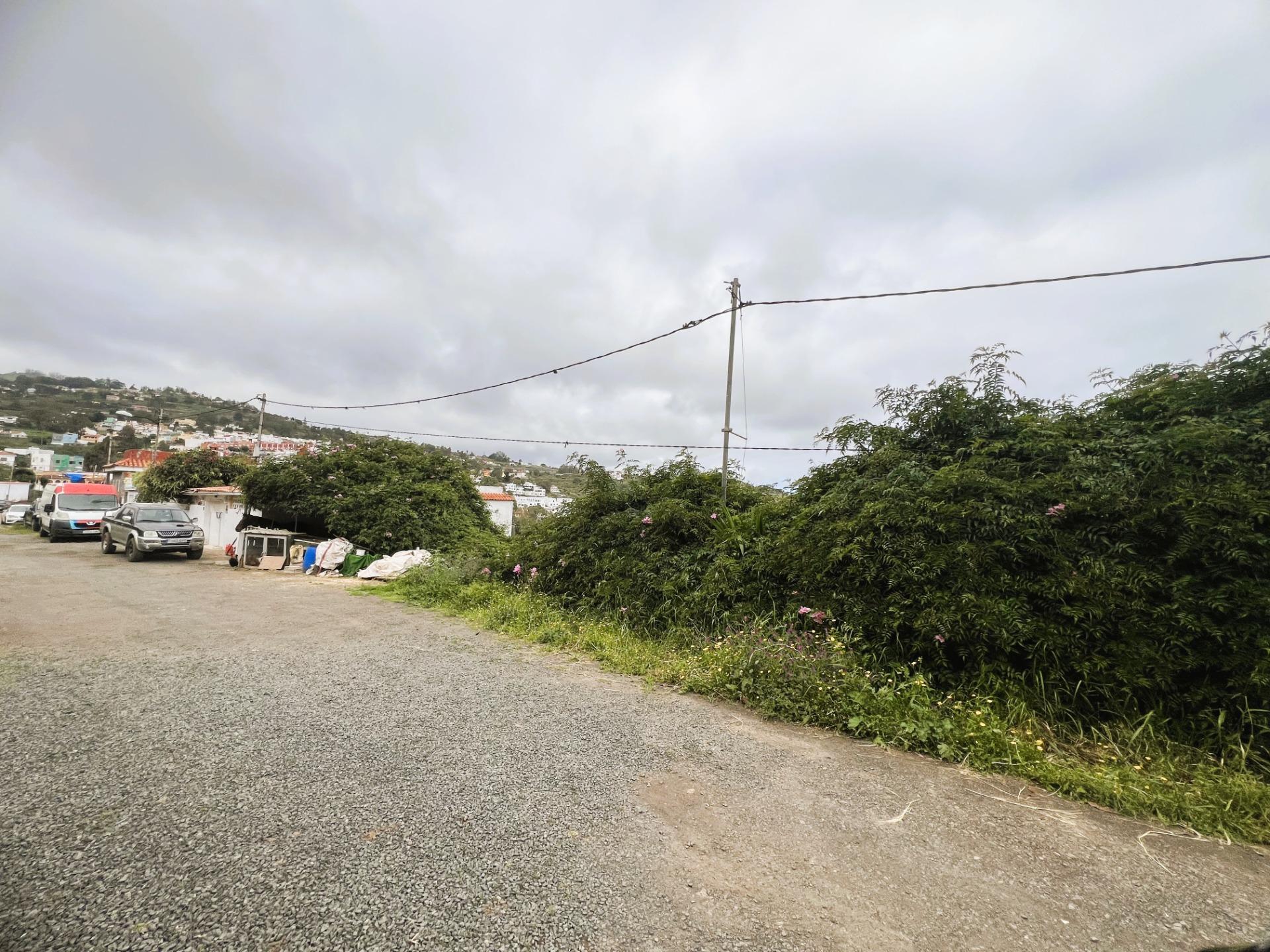 Fincas y solares-Venta-Arucas-2208823-Foto-6