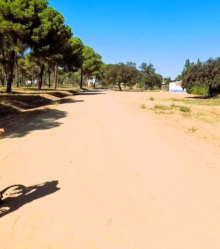 Terreno en venta  calle Polígono 11 Parcela 69 EL LLANO. VILLAMANRIQUE DE, Villamanrique de la Condesa  11/26
