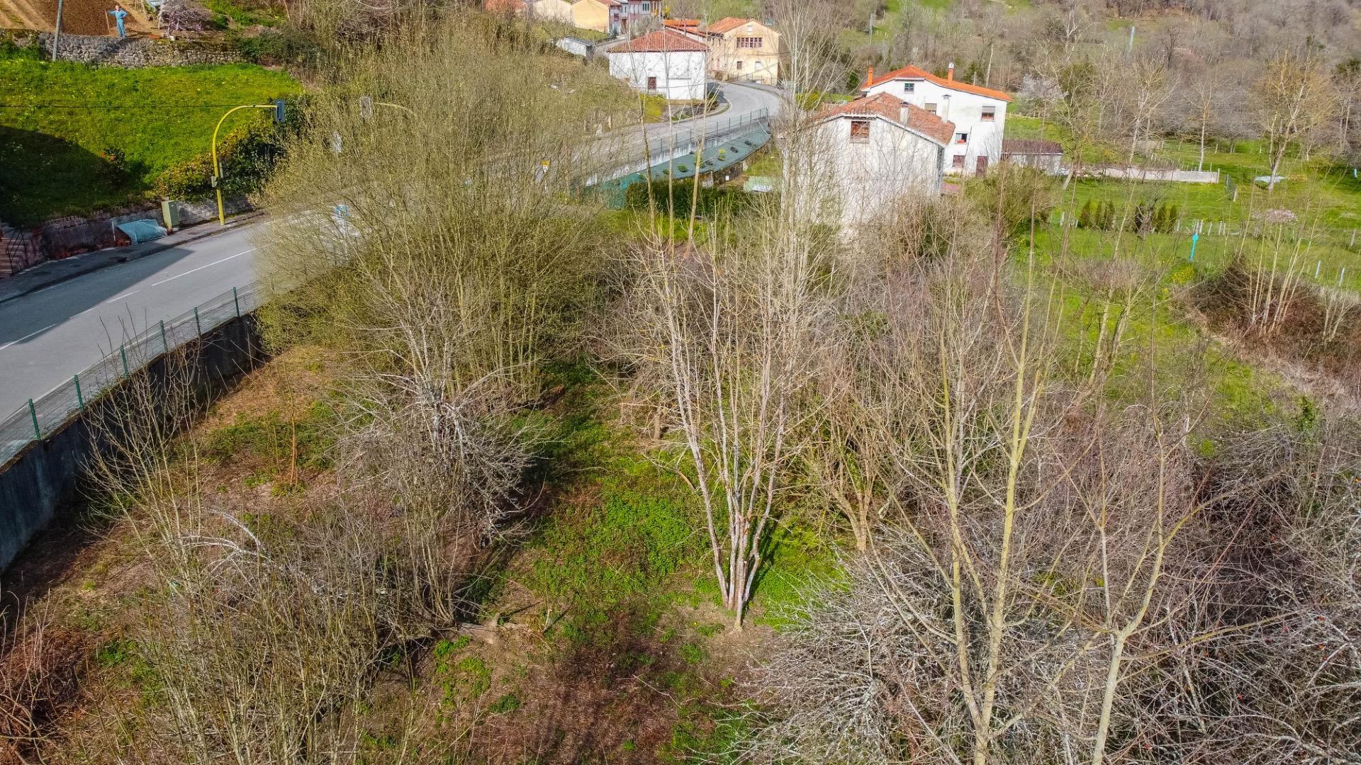 Fincas y solares-Venta-Bimenes-2153081-Foto-12