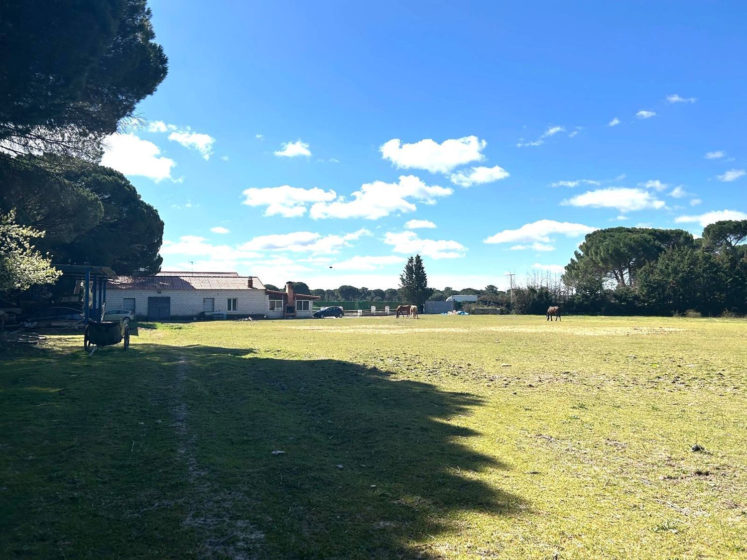 Fincas y solares-Venta-Laguna de Duero-2210283