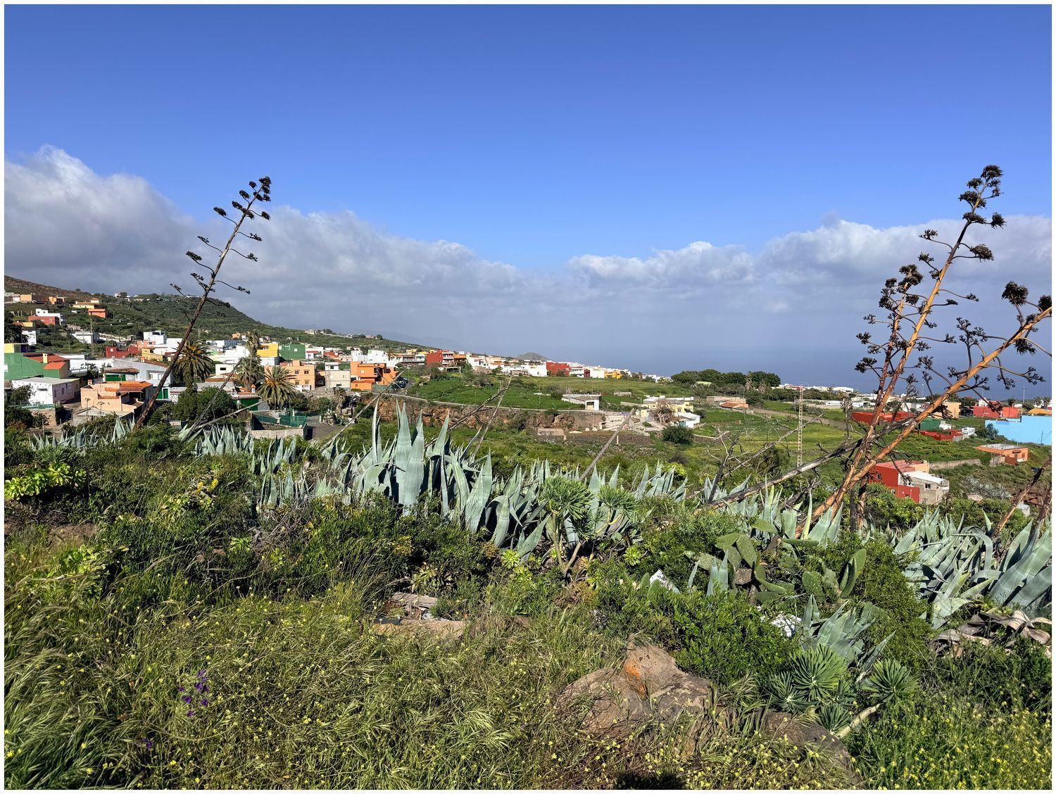 Fincas y solares-Venta-El Rosario-2210292