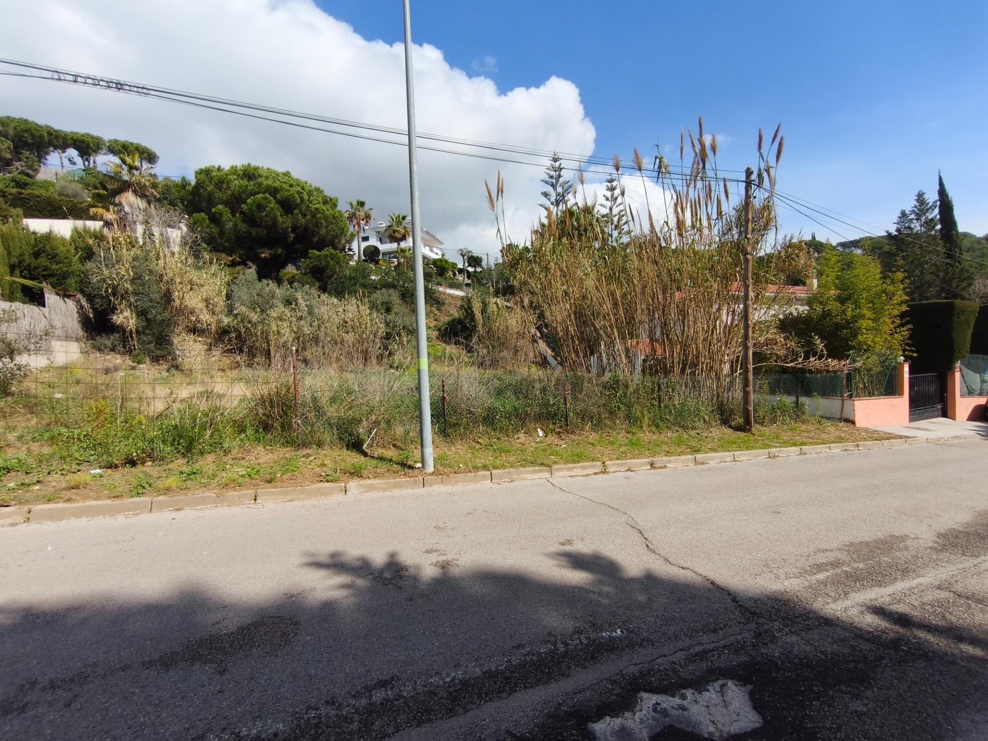 Fincas y solares-Venta-Alella-2411969-Foto-3
