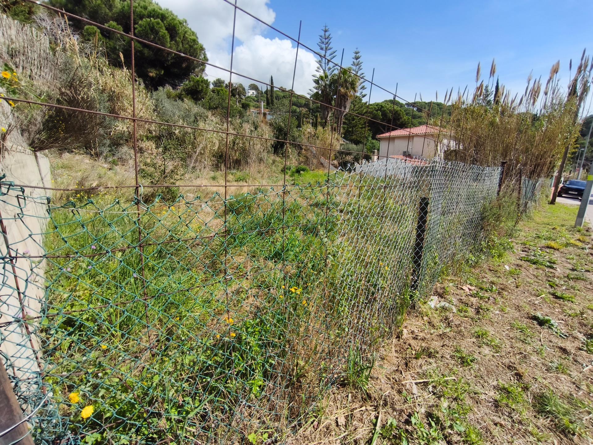 Fincas y solares-Venta-Alella-2411969-Foto-5