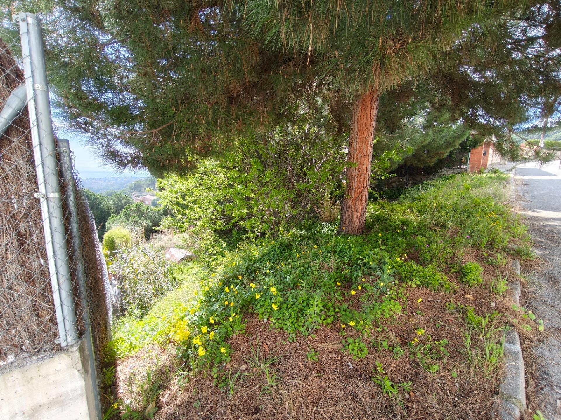 Fincas y solares-Venta-Alella-2411522-Foto-4
