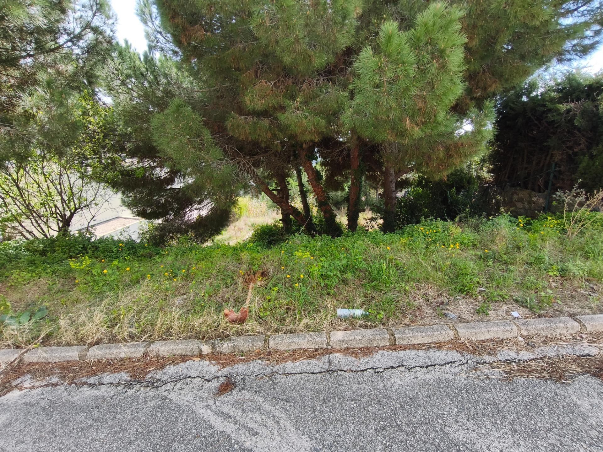 Fincas y solares-Venta-Alella-2411522-Foto-3