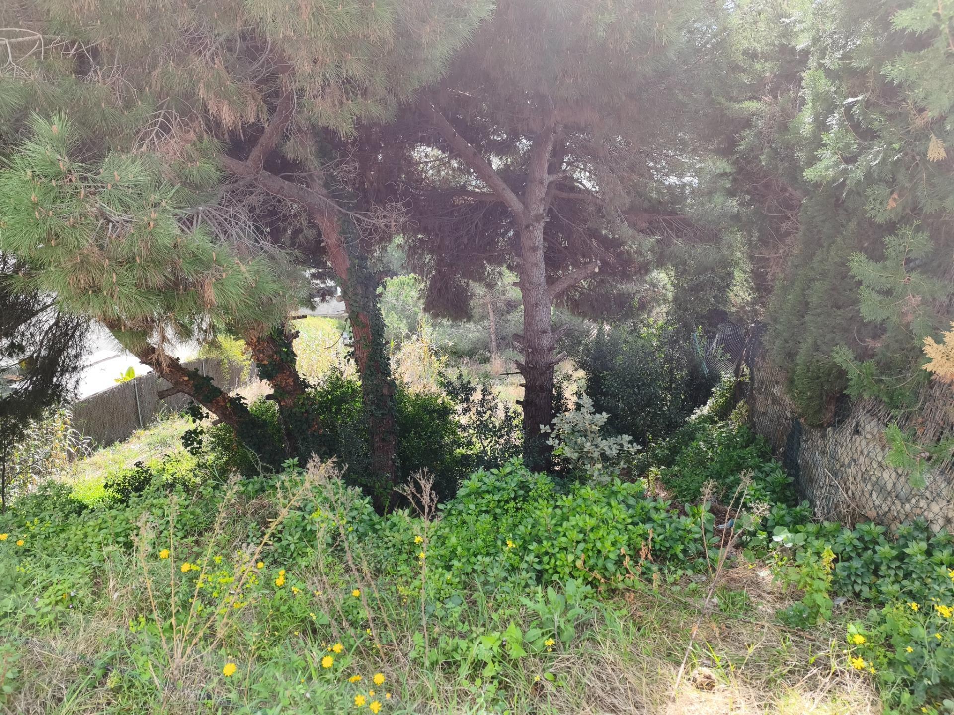 Fincas y solares-Venta-Alella-2411522-Foto-5