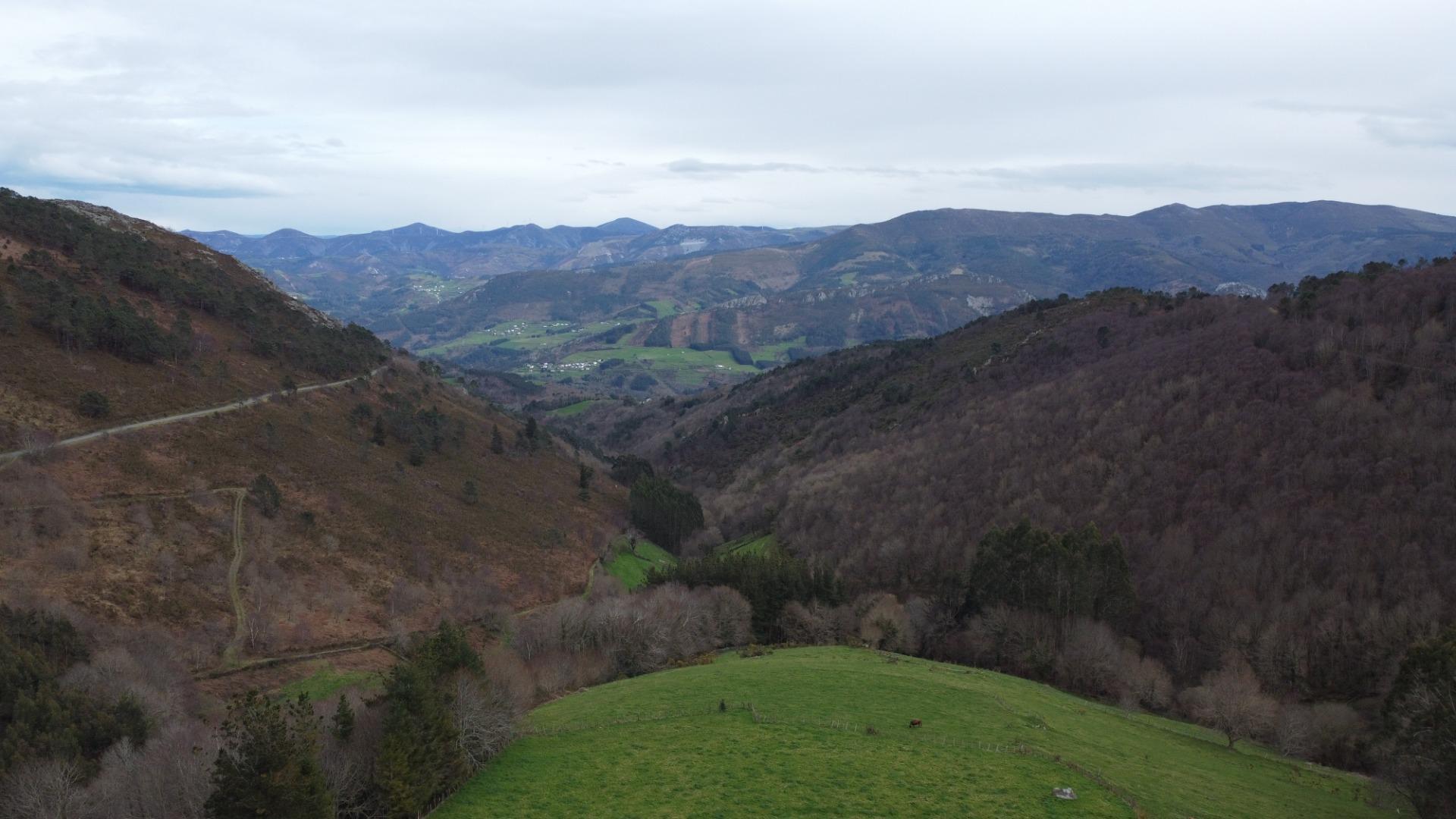 Casas o chalets-Venta-El Boalo-2107622-Foto-30