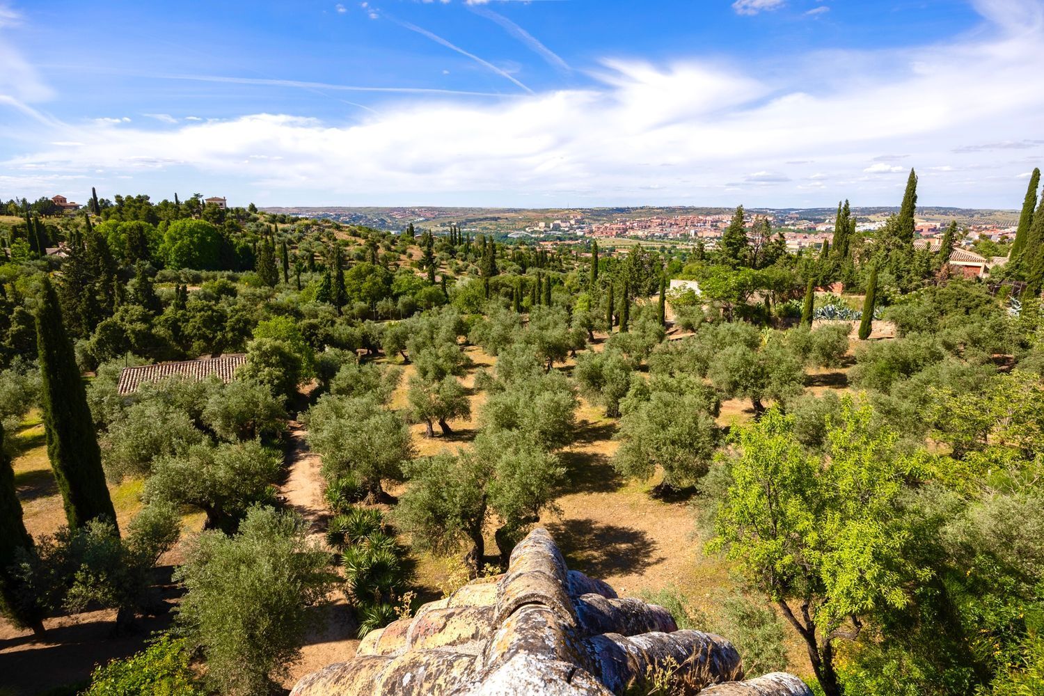 Casas o chalets-Venta-Toledo-1744111-Foto-16