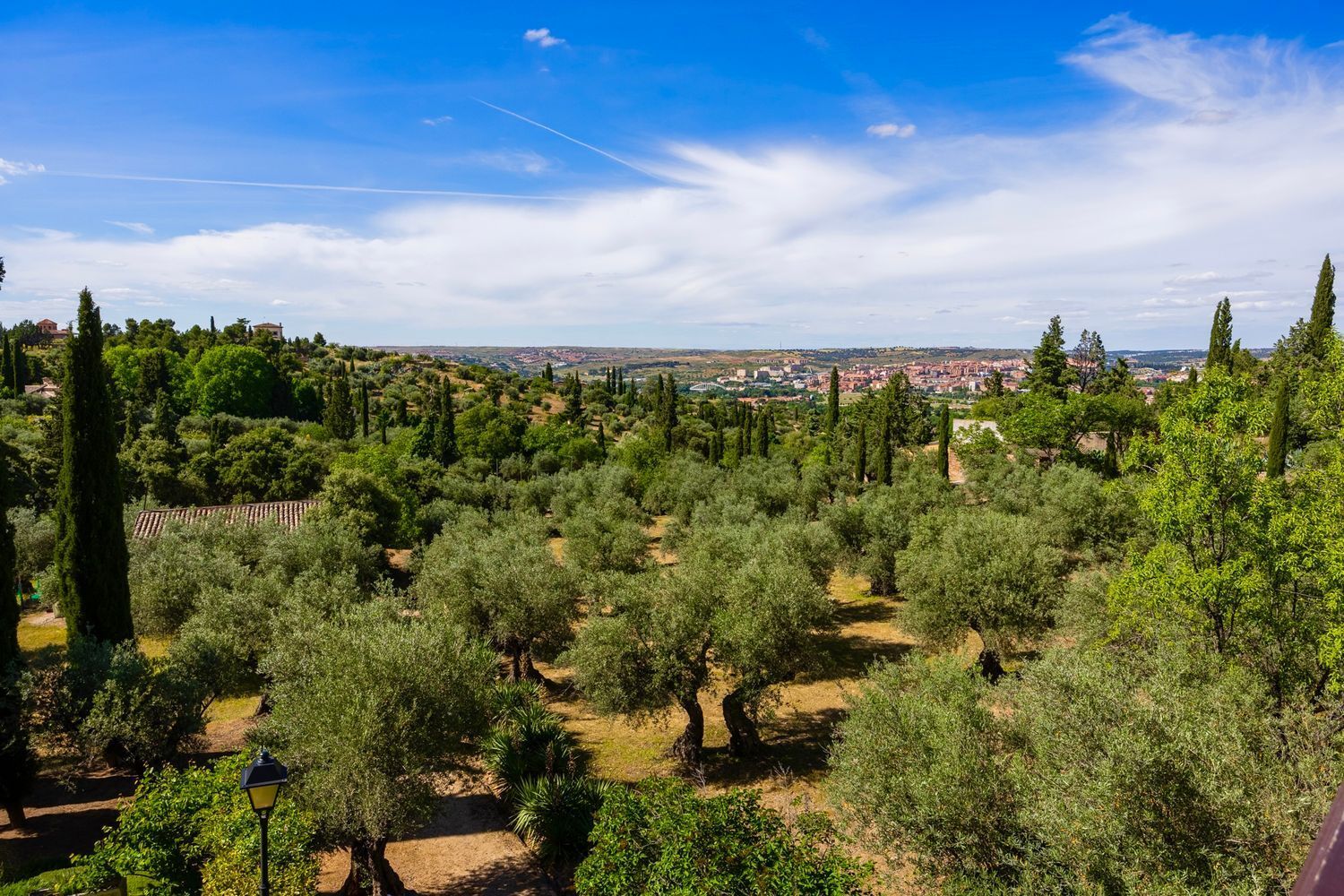 Casas o chalets-Venta-Toledo-1744111-Foto-23