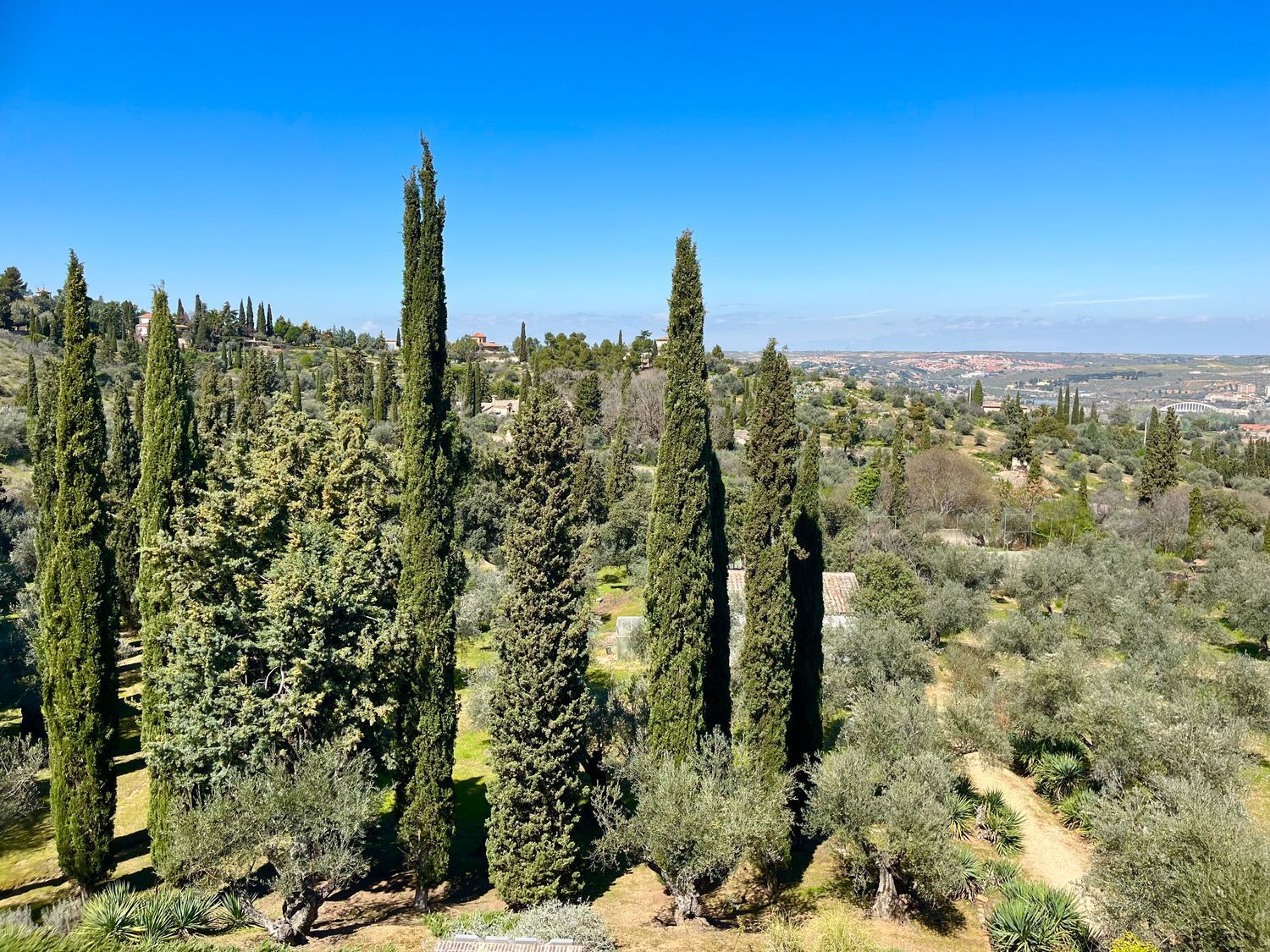Casas o chalets-Venta-Toledo-1744111-Foto-53