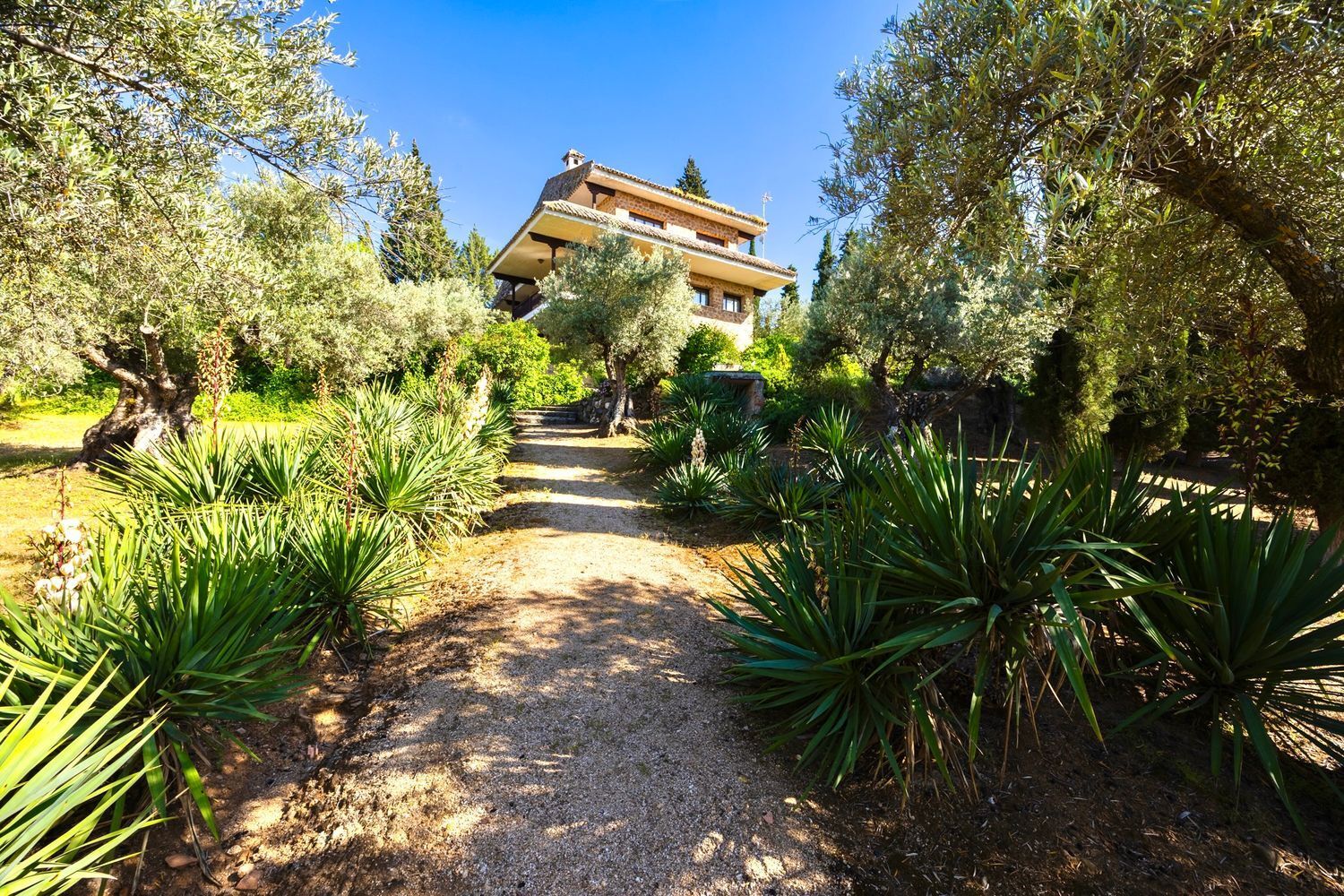 Casas o chalets-Venta-Toledo-1744111-Foto-52