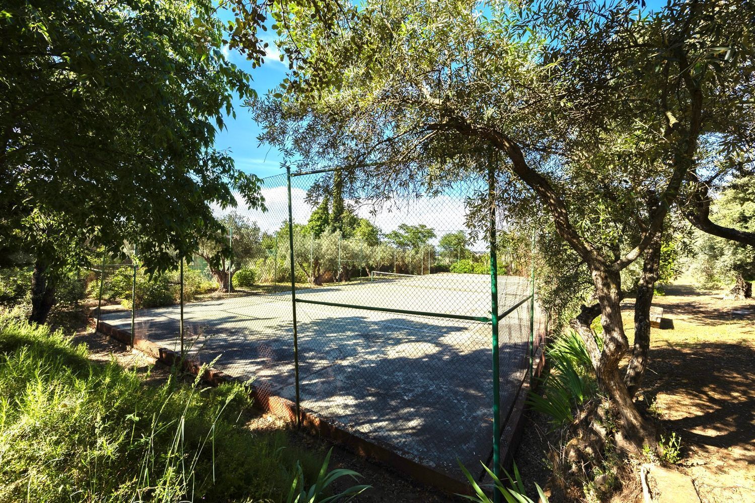 Casas o chalets-Venta-Toledo-1744111-Foto-56