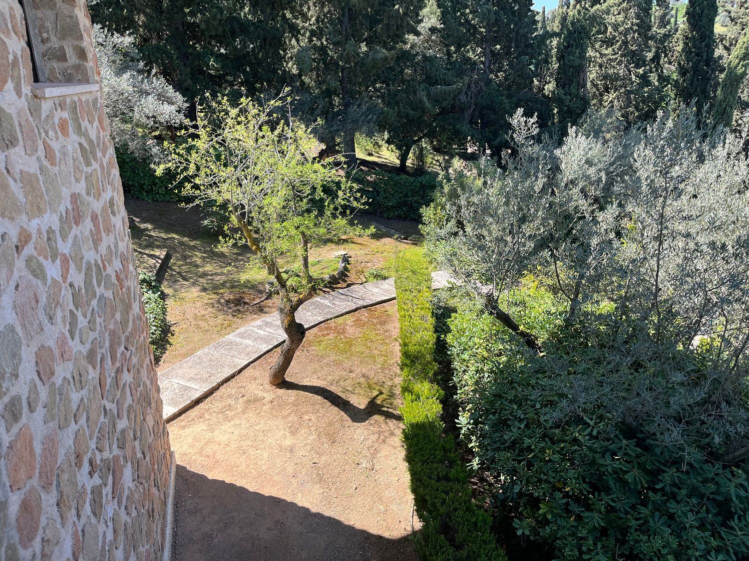 Casas o chalets-Venta-Toledo-1744111-Foto-60